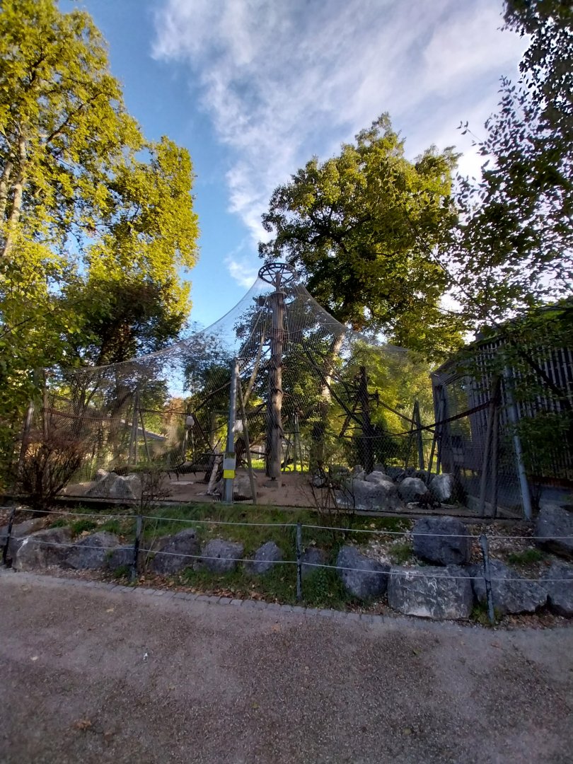 Monkey enclosure (black-capped capuchin)
