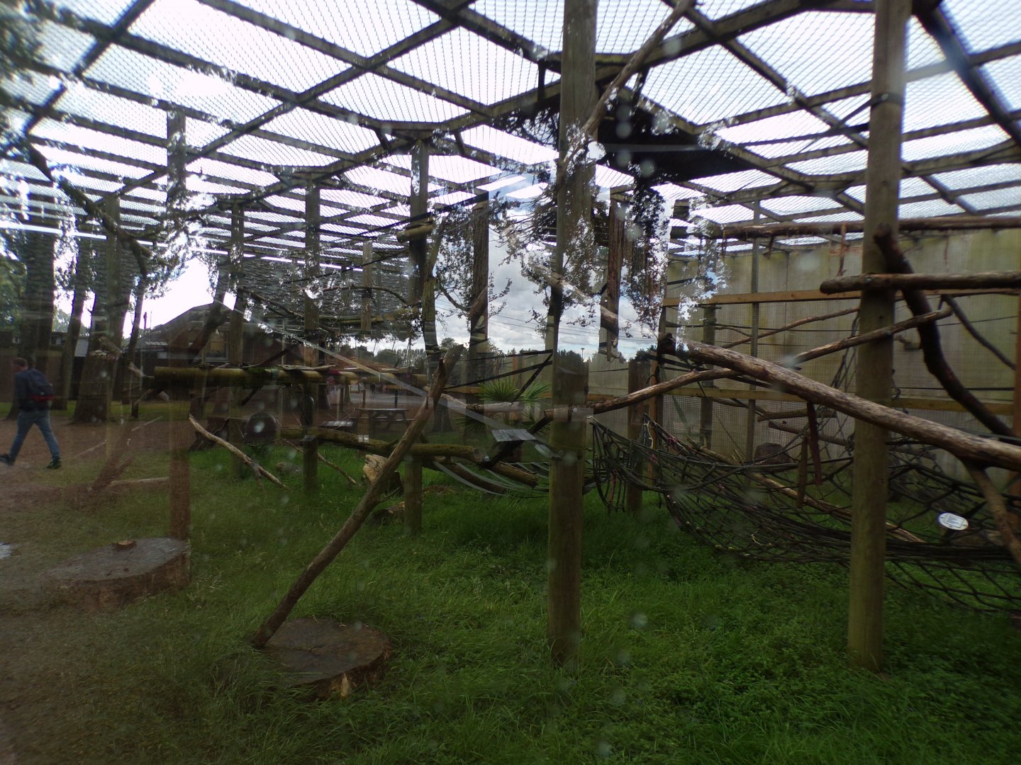 Monkey enclosure (can’t remember what’s in here?) 7.7.24