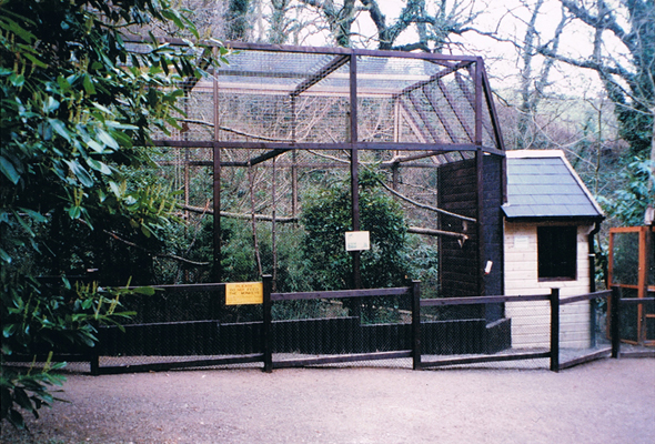 Monkey Enclosure Combe Martin 1996