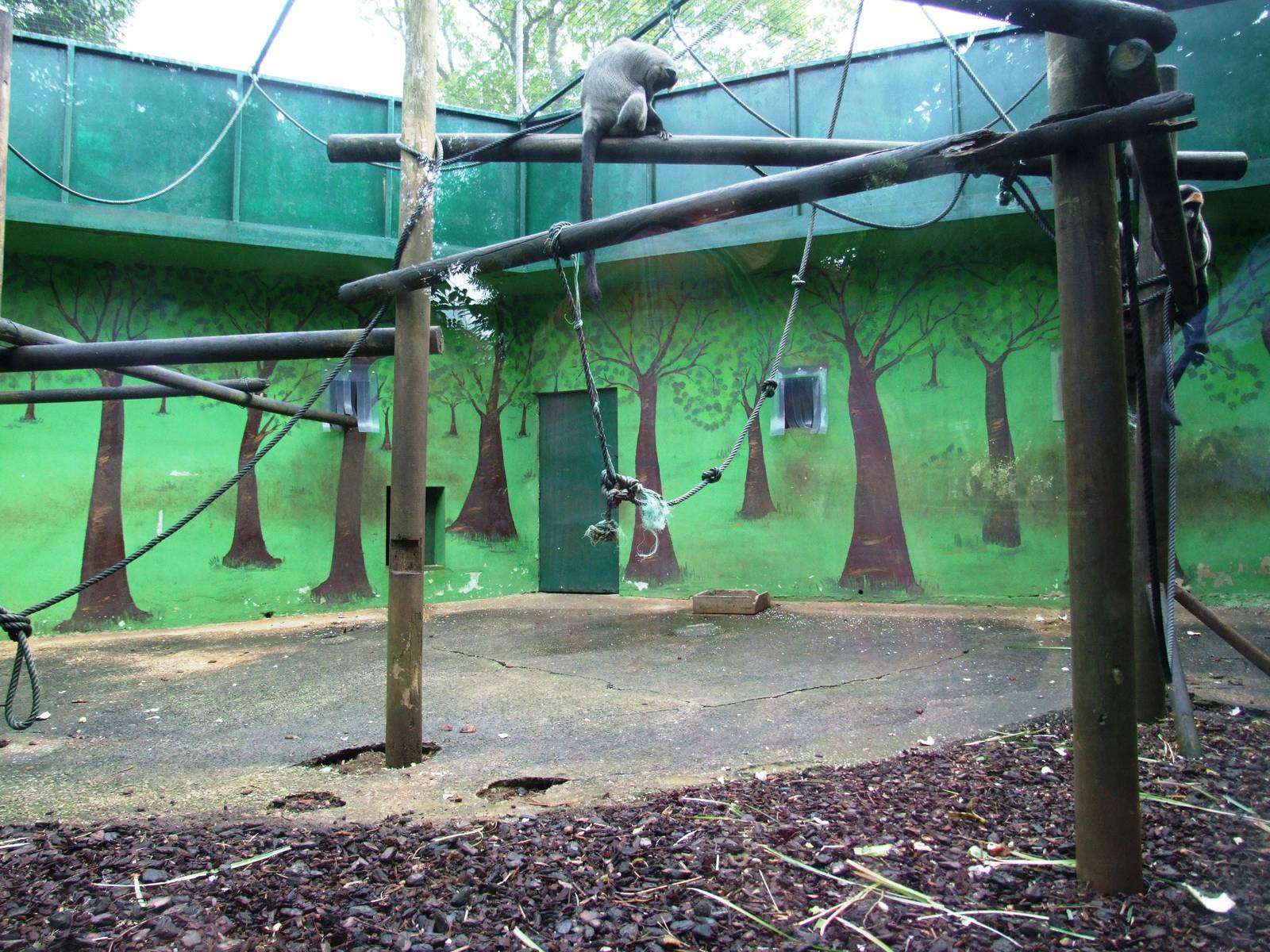 Monkey Enclosures at Santillana del Mar, 13/06/15