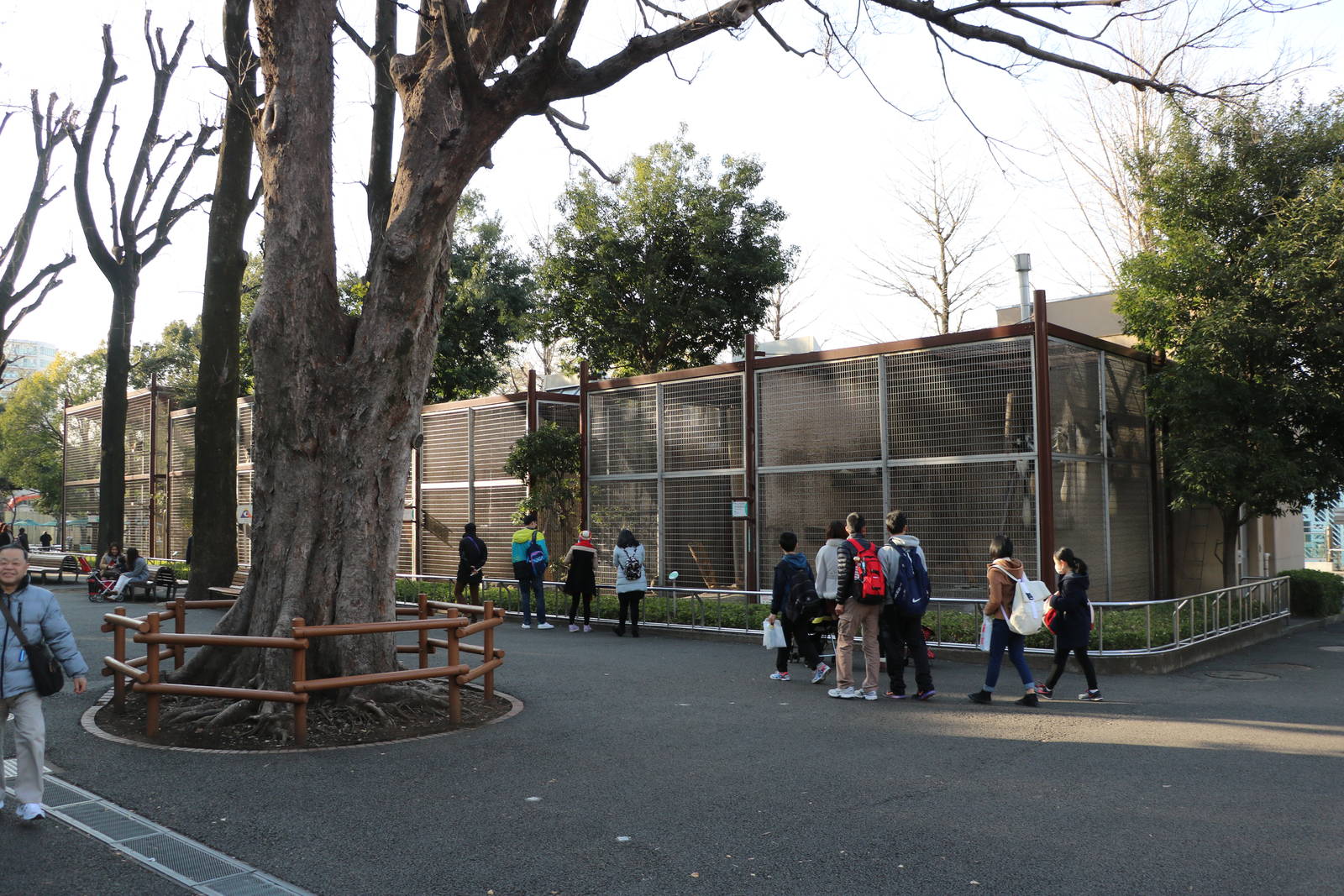 Monkey enclosures, February 2016