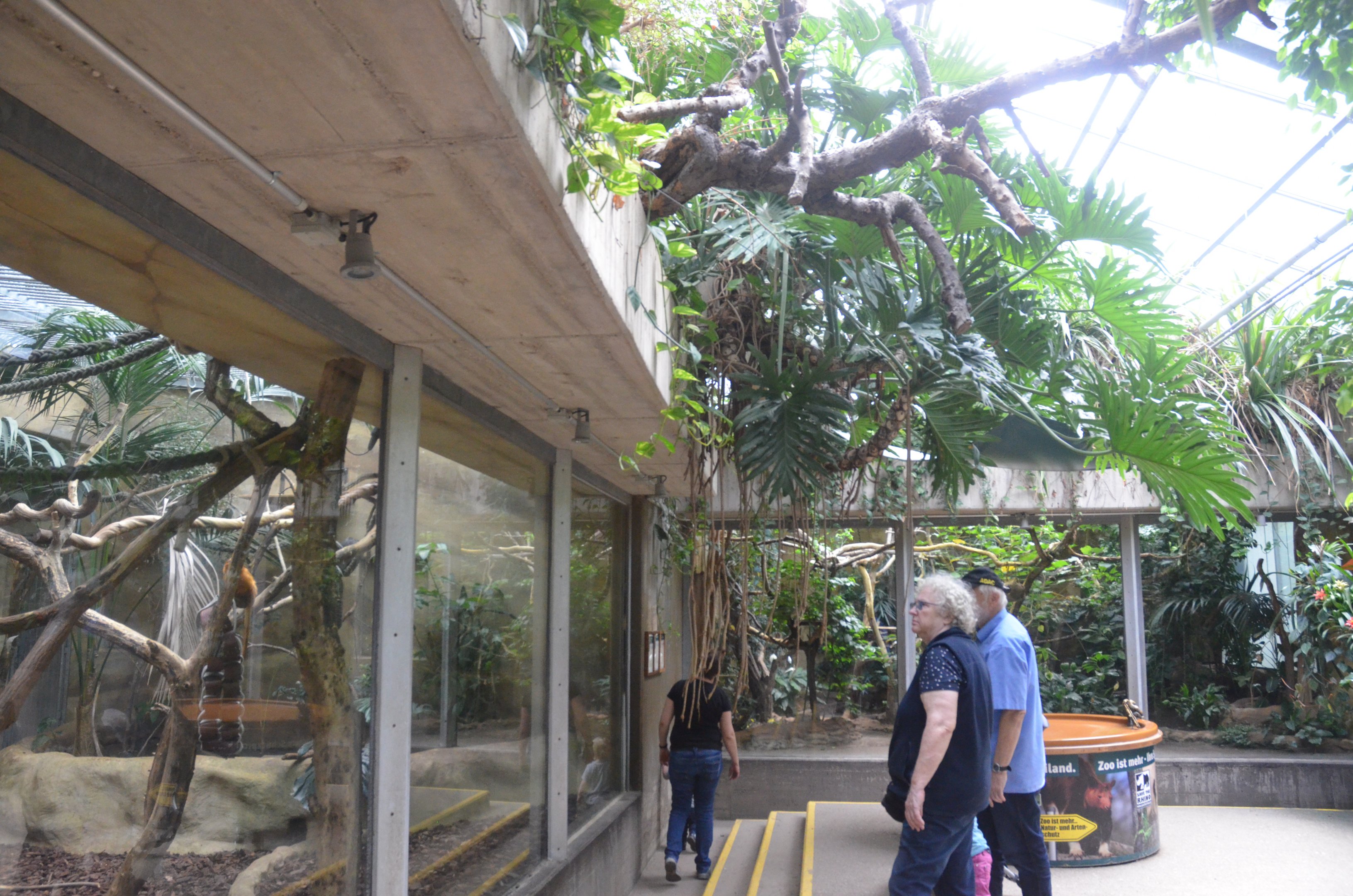 Monkey Enclosures in Ape House at Krefeld, 15/06/19