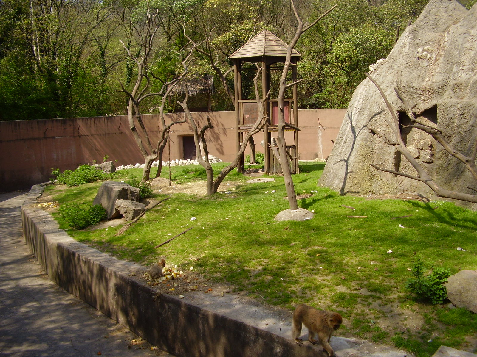 Monkey exhibit - 2010