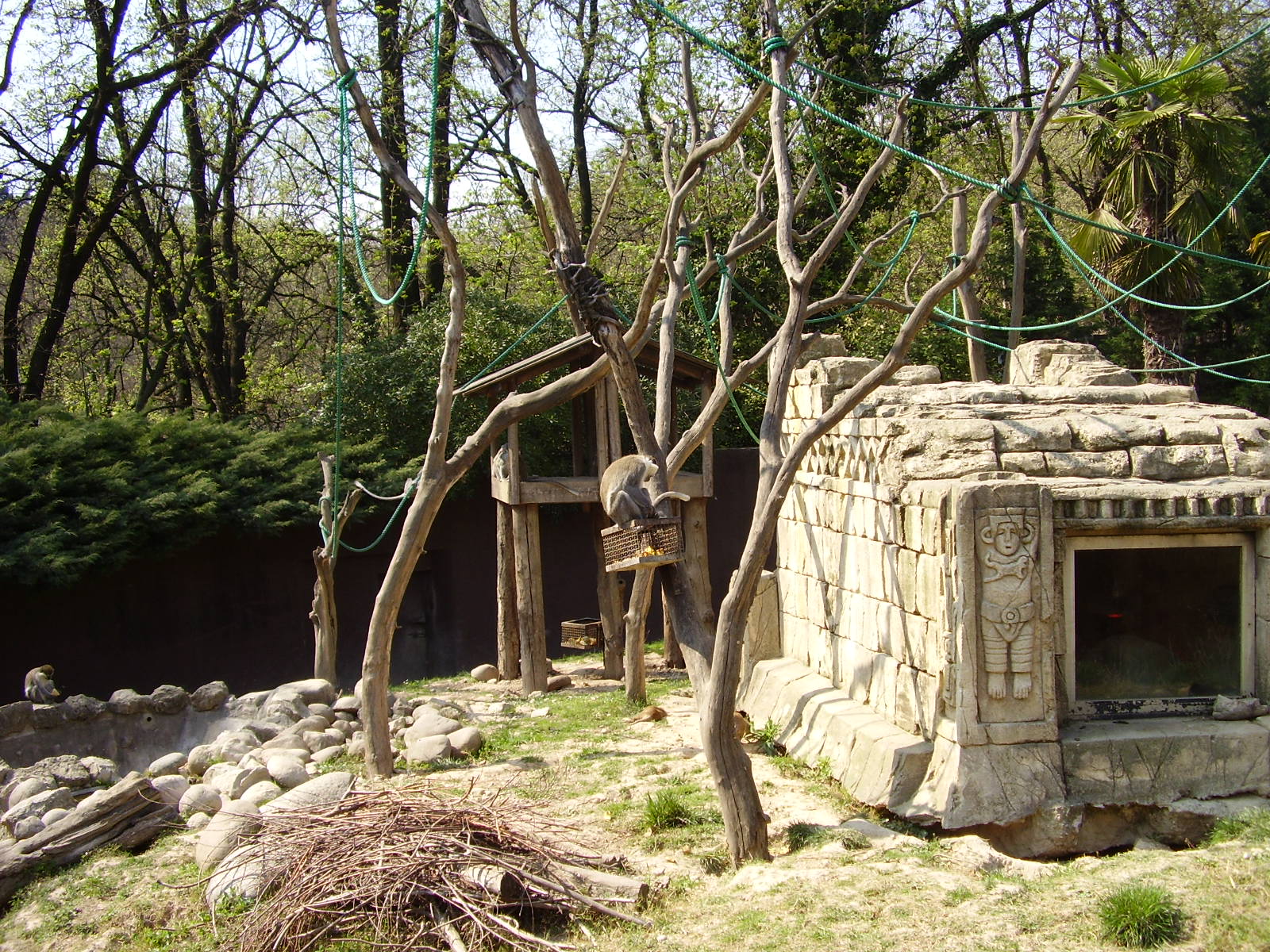 Monkey Exhibit - 2010
