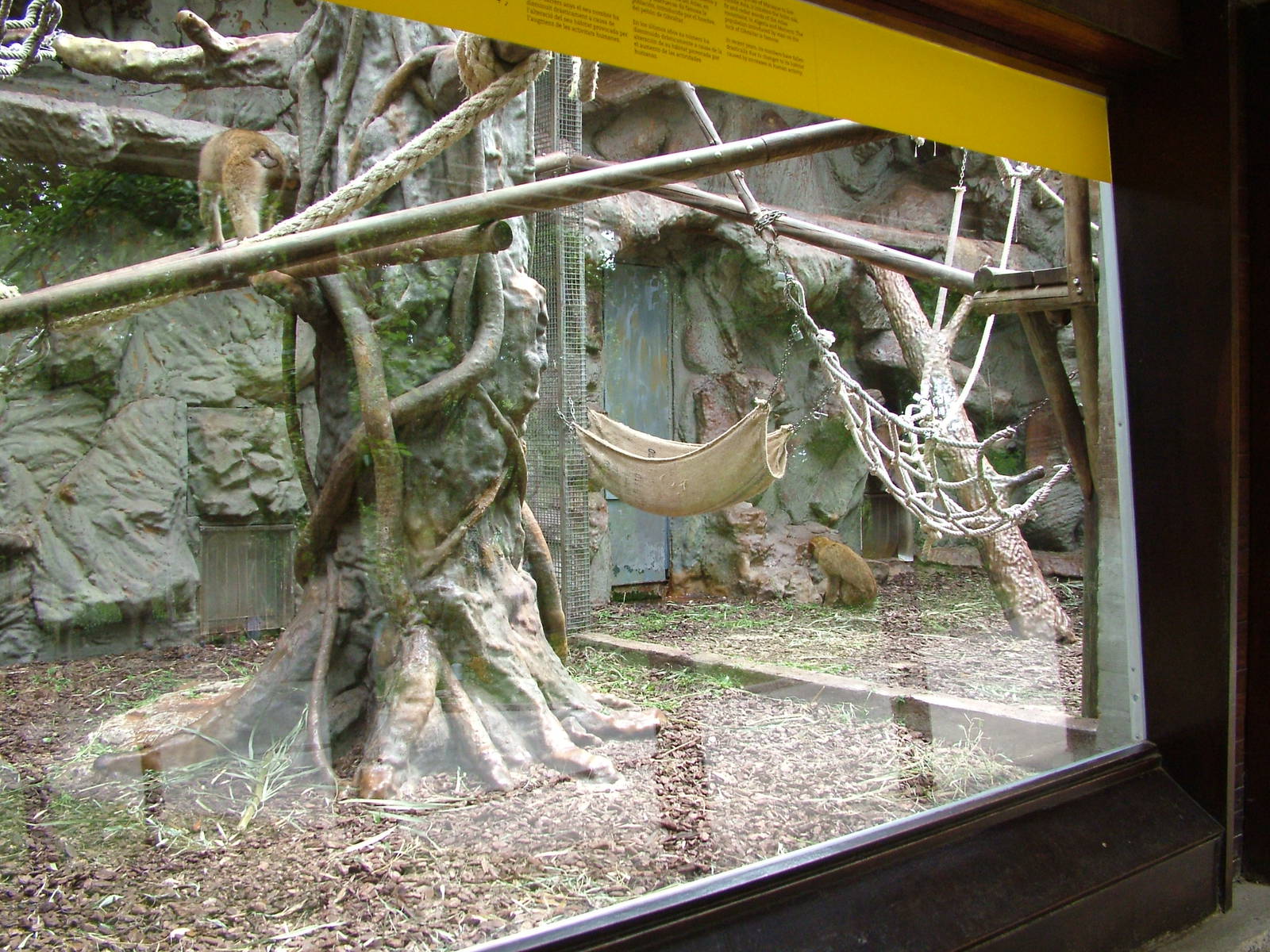 Monkey Exhibit at Barcelona, 30/05/11