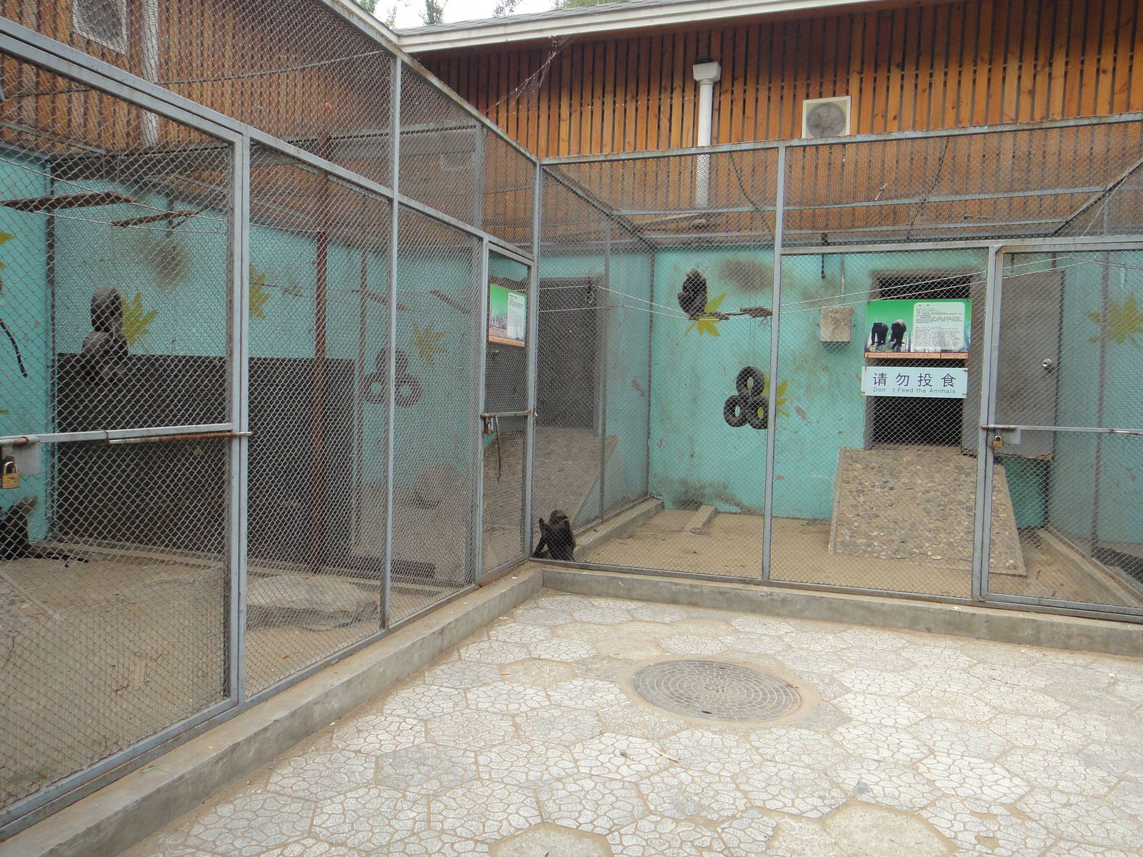 Monkey exhibit