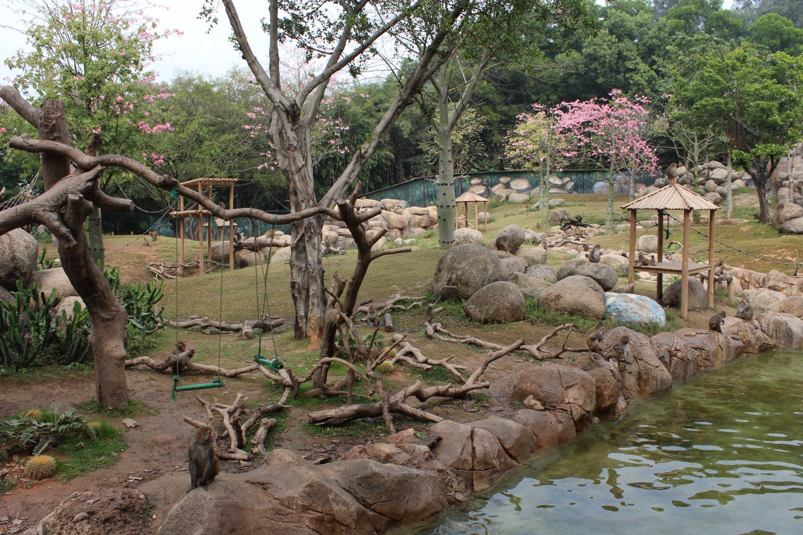 Monkey exhibit