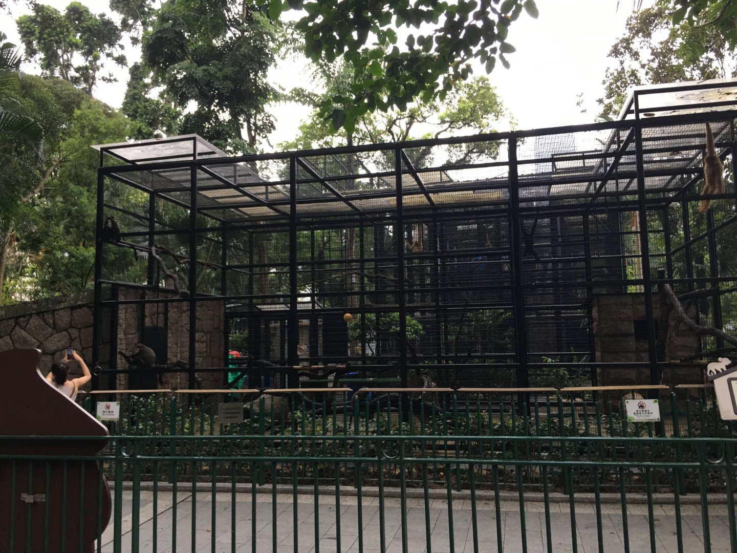 Monkey Exhibit