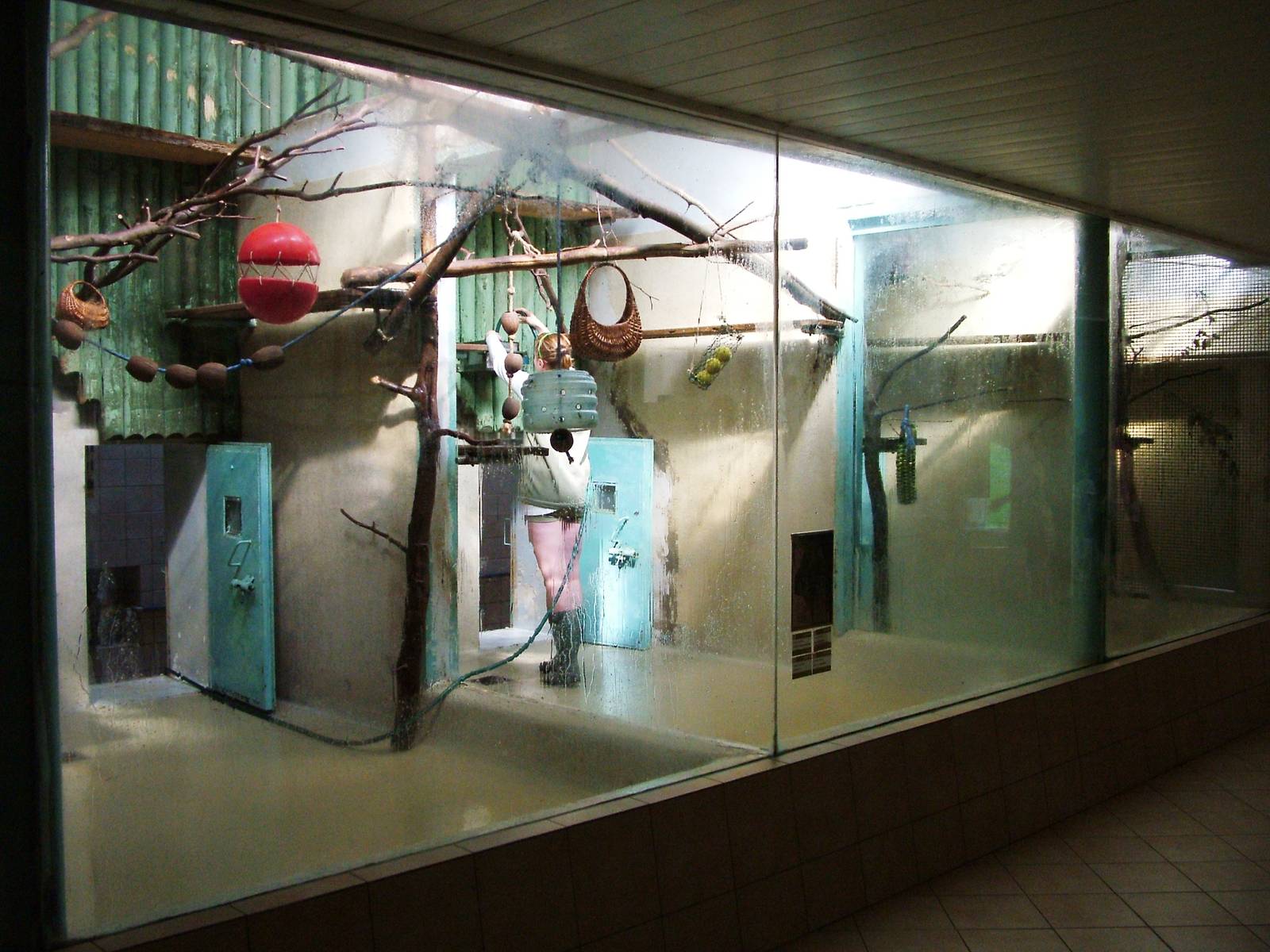 Monkey Exhibits at Liberec, 28/08/12