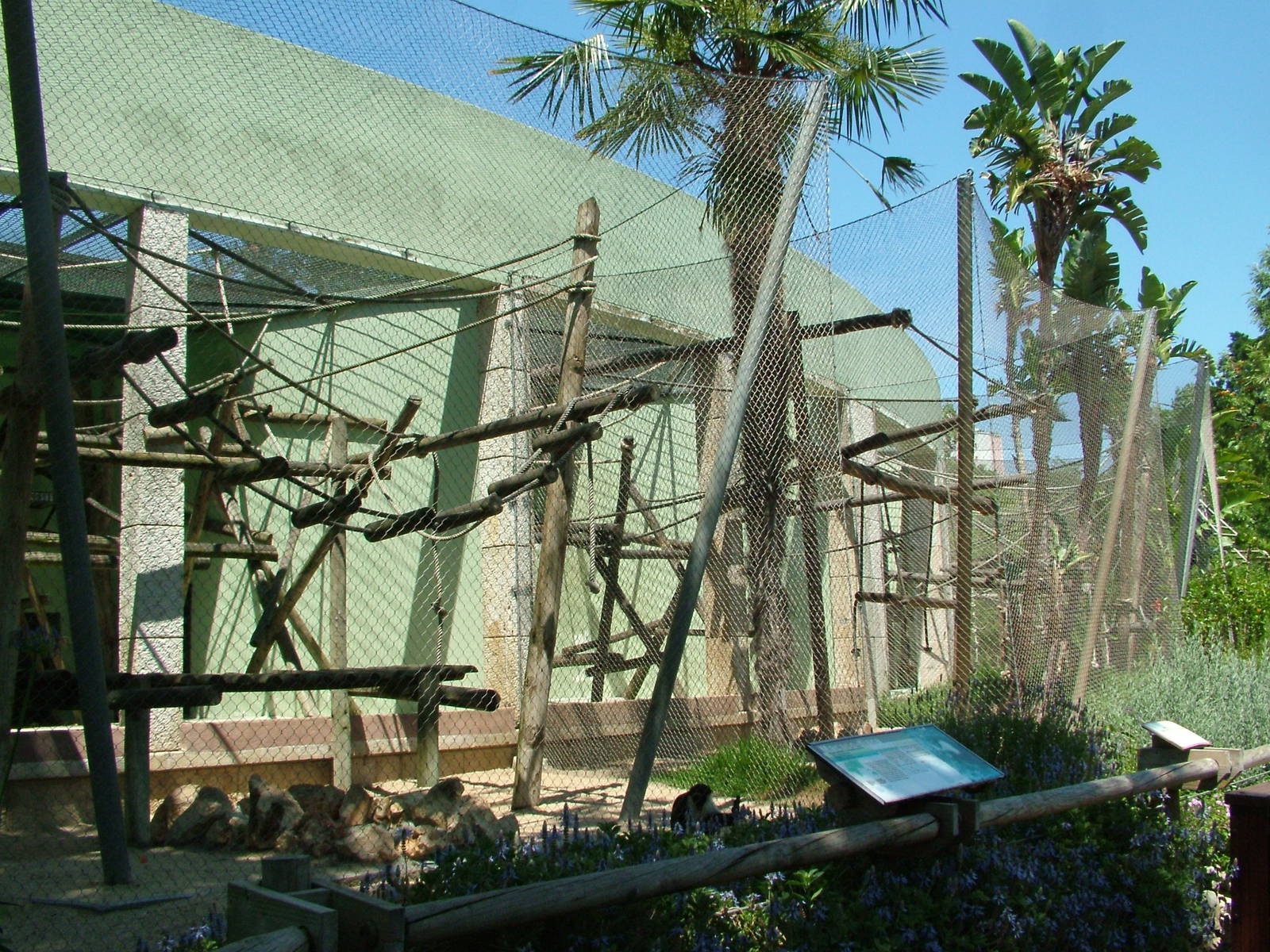 Monkey Exhibits at Lisbon Zoo, 24/05/11