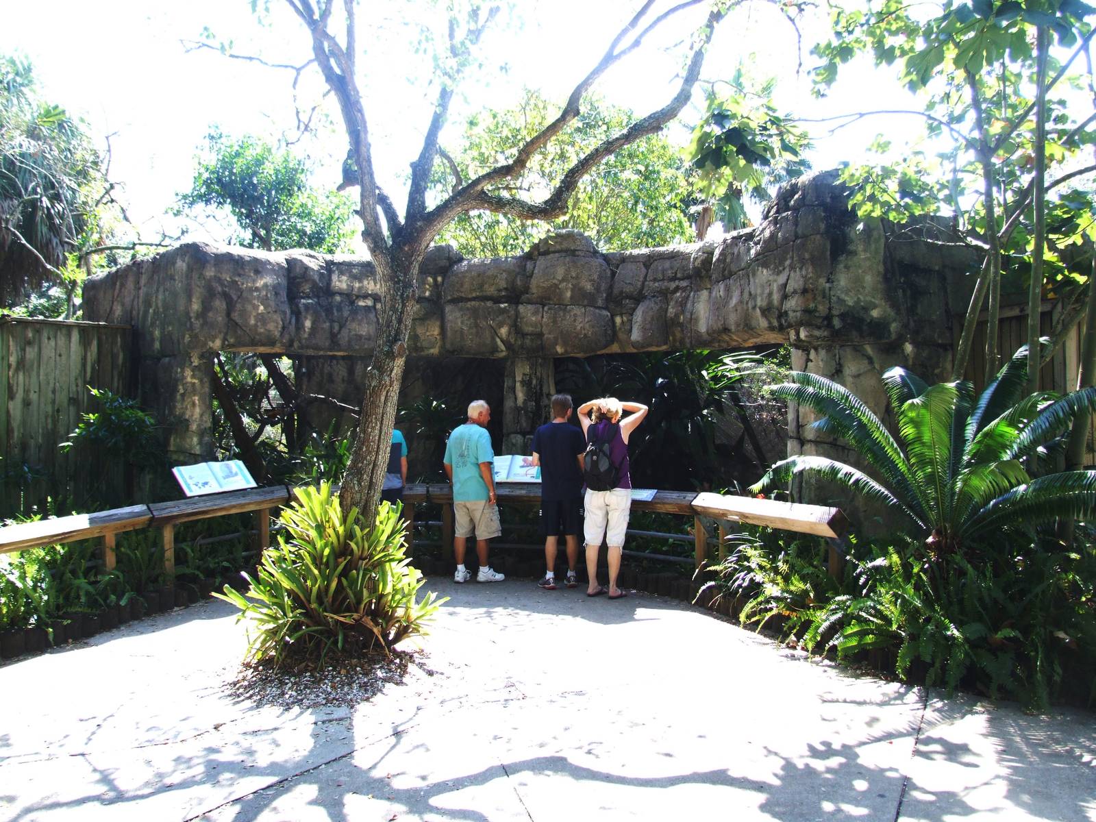 Monkey Exhibits at Lowry Park, 13/10/13