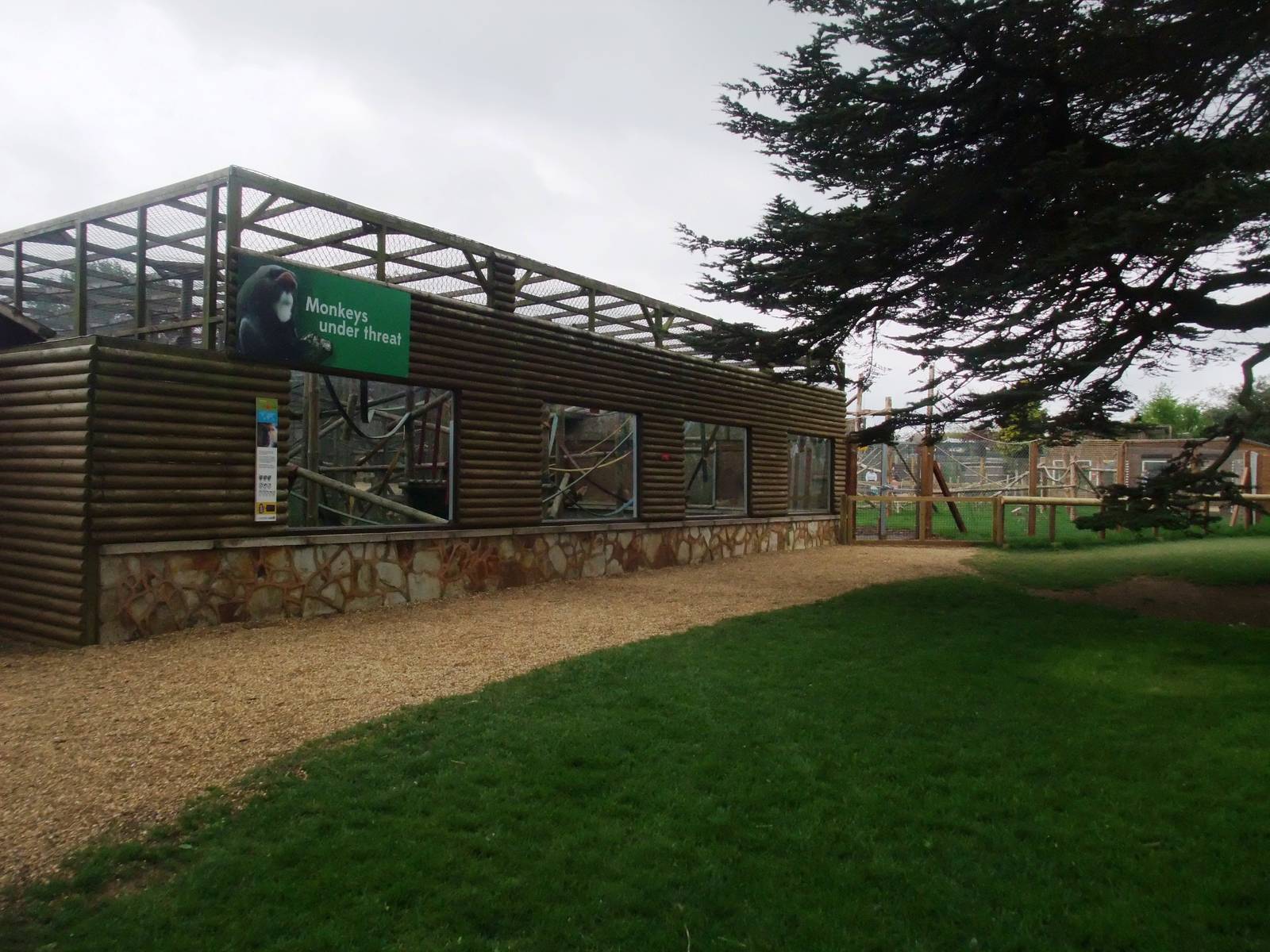 Monkey Exhibits at Twycross, 18/05/13