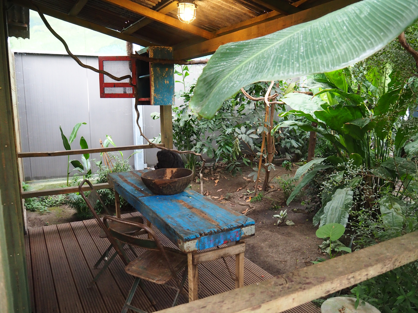 Monkey feeding area next to terrarium area, 2022-10-09