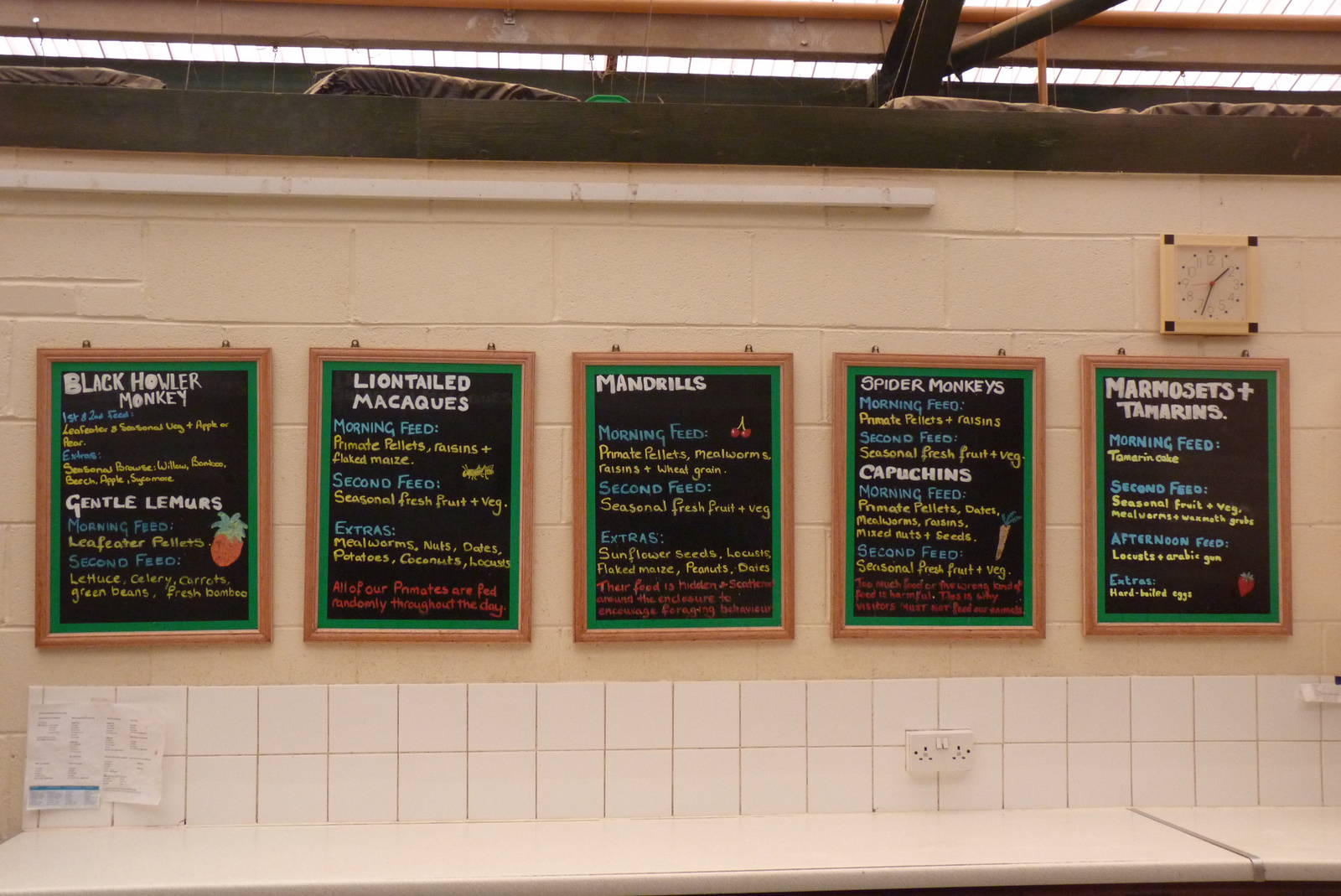 Monkey feeding signs, September 2016