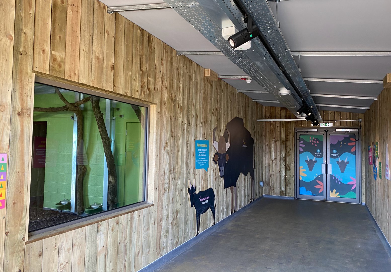 Monkey forest Anoa house, indoor viewing, ZSL Whipsnade