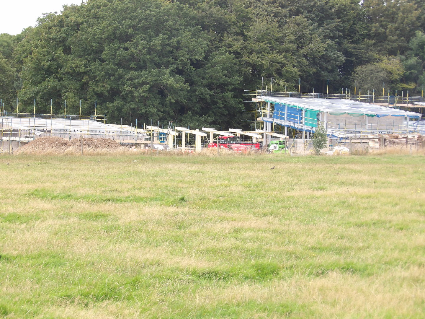 Monkey Forest Construction Work 12/08/23