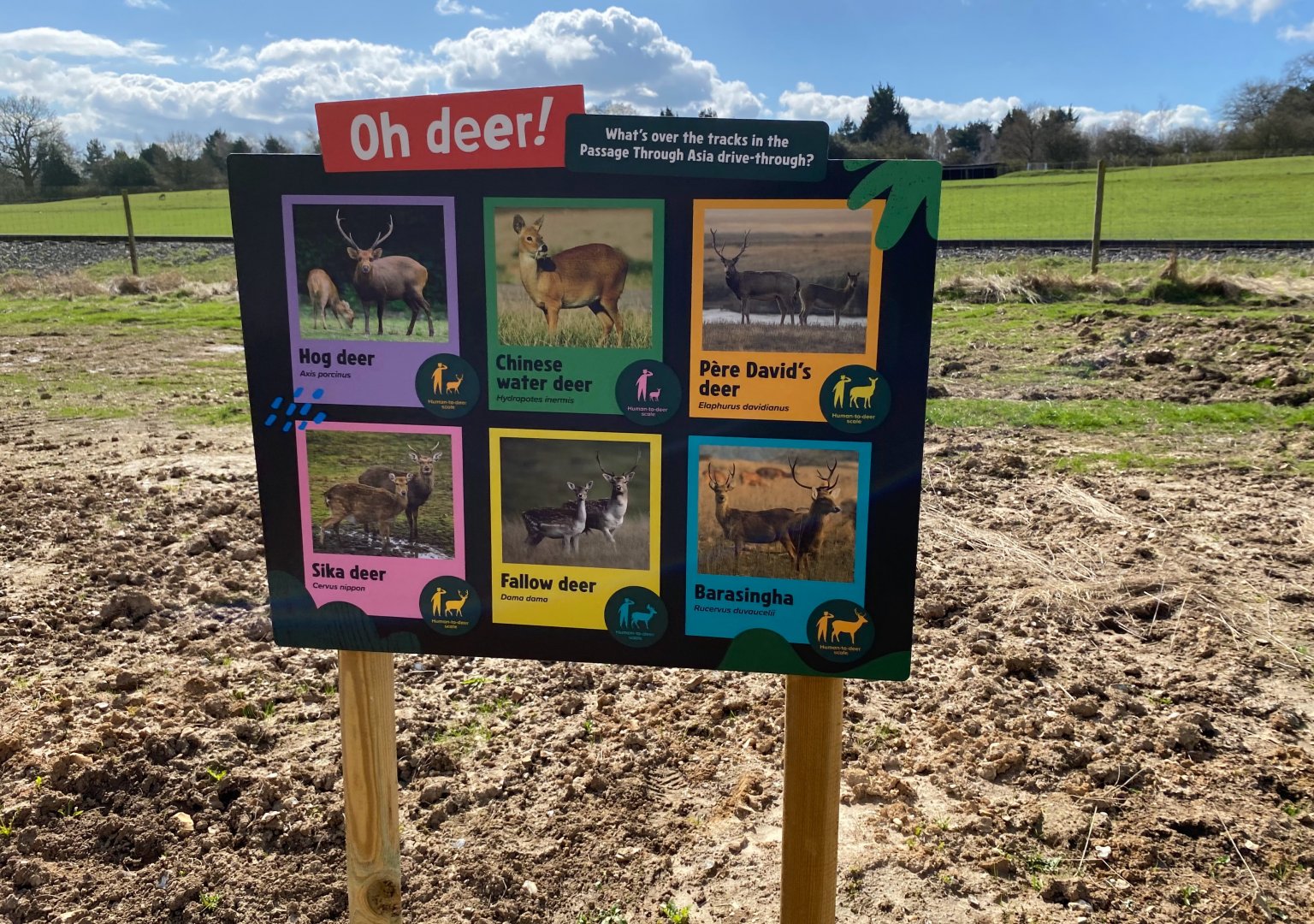 Monkey forest, deer signage, ZSL Whipsnade