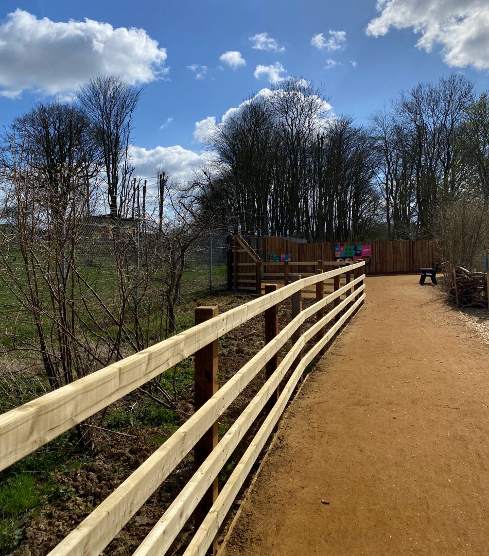 Monkey forest, entry path, ZSL Whipsnade