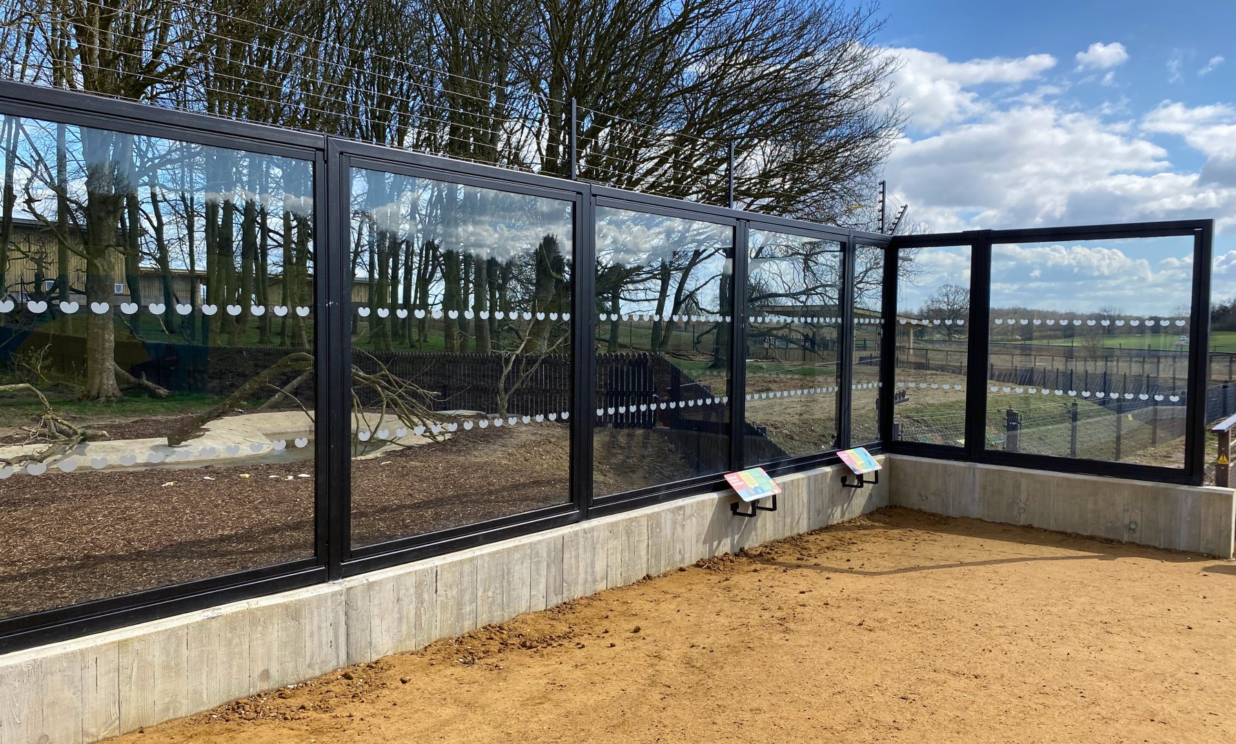 Monkey forest, Macaque and Anoa, lhs enclosure, viewing window, ZSL Whipsnade