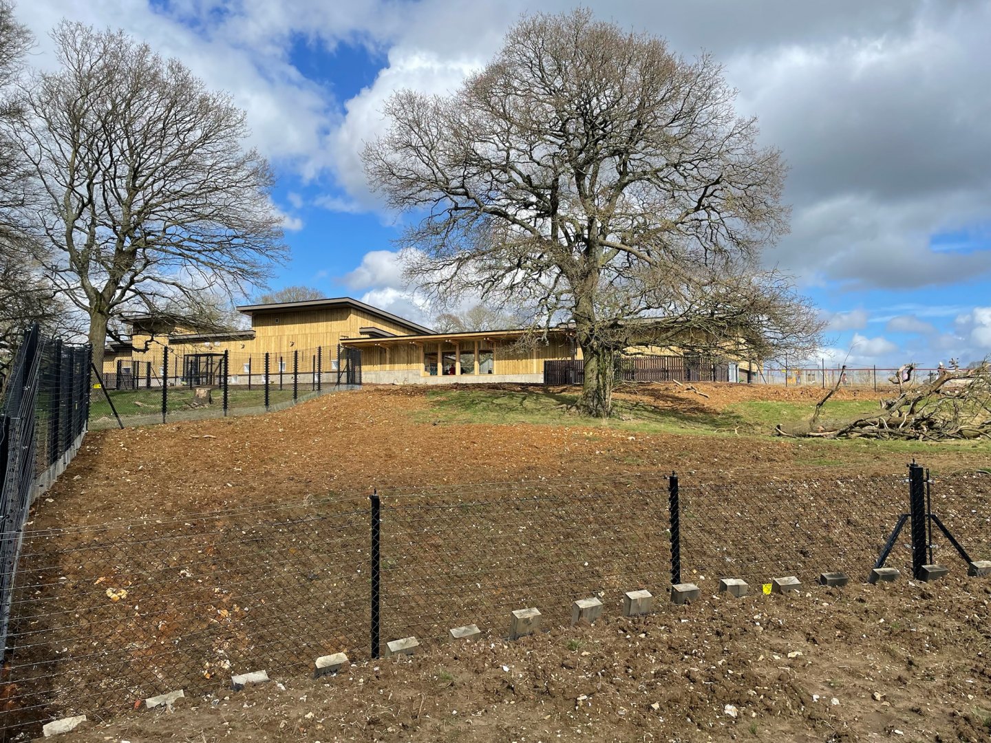 Monkey Forest Main Building