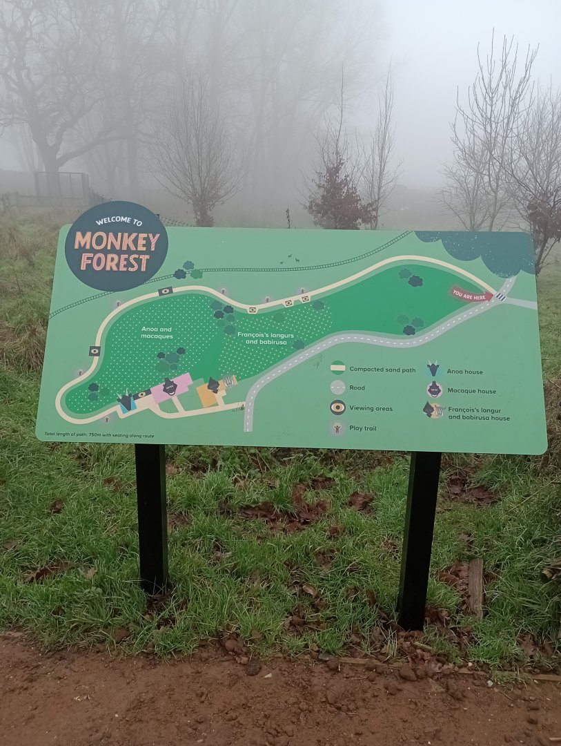 Monkey forest map