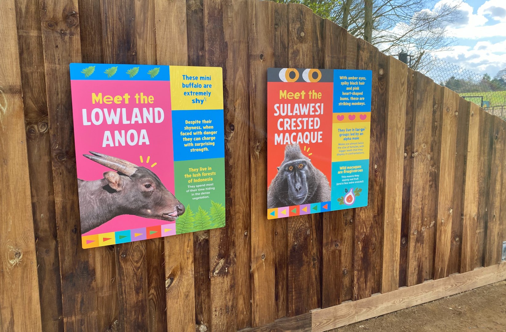 Monkey forest, new style signage, ZSL Whipsnade