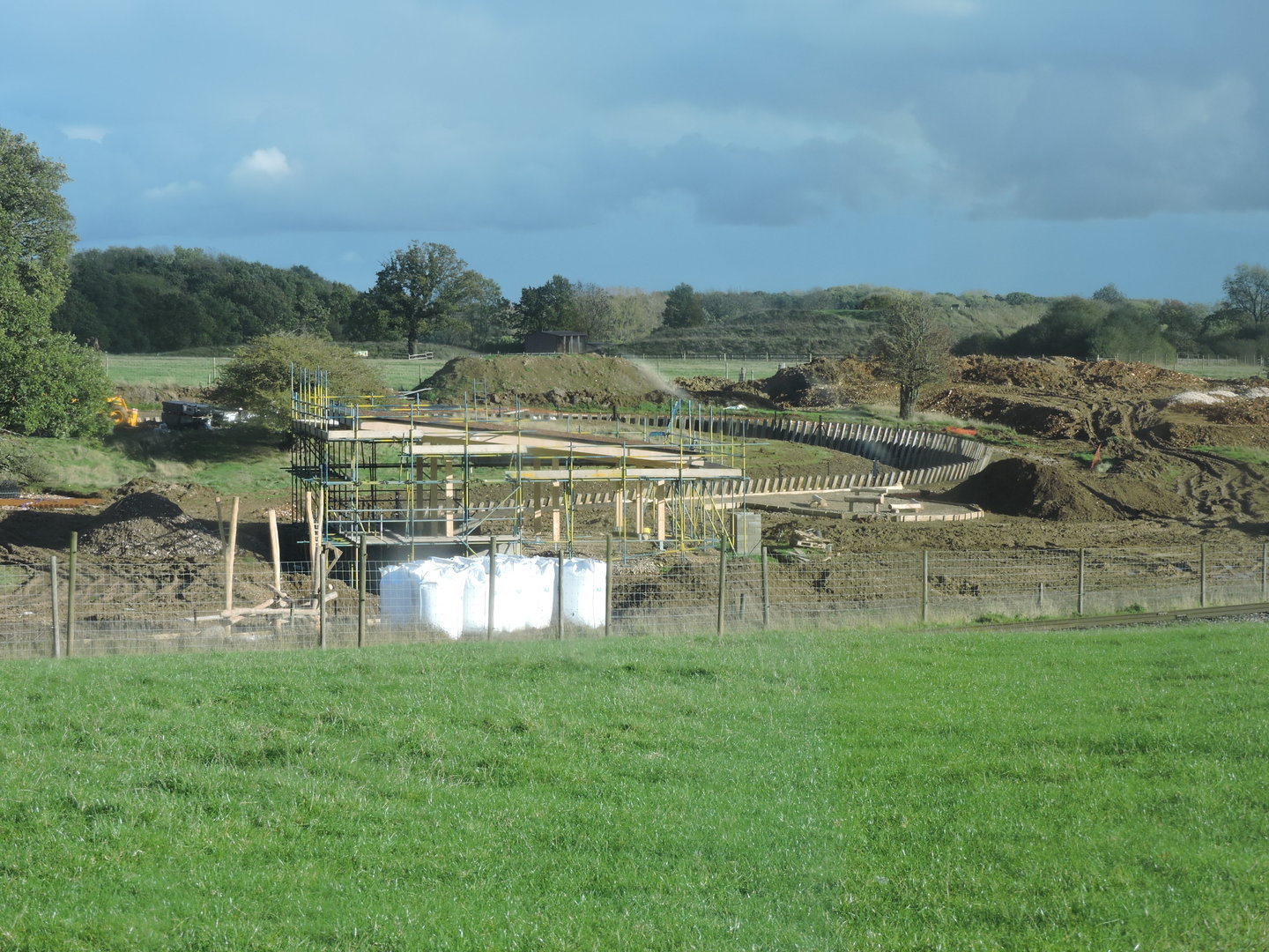 Monkey Forest Progress