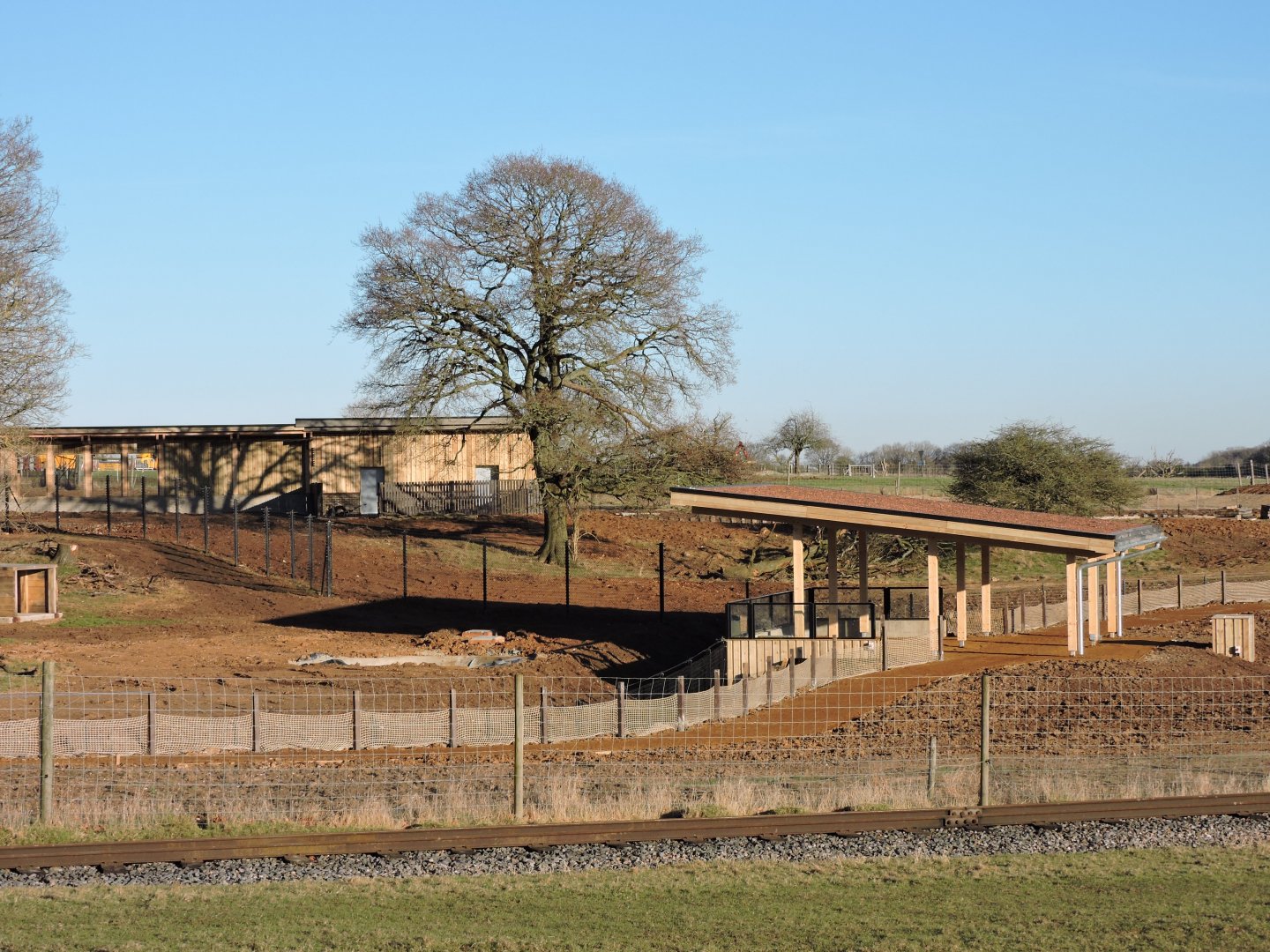 Monkey Forest progress