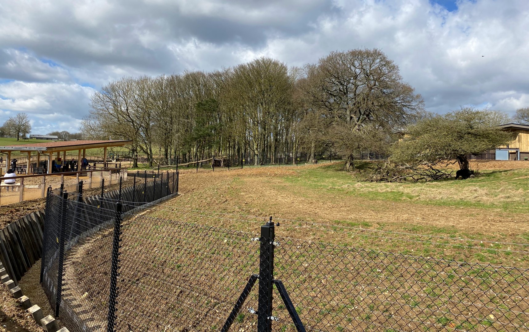 Monkey forest, right hand side enclosure, ZSL Whipsnade