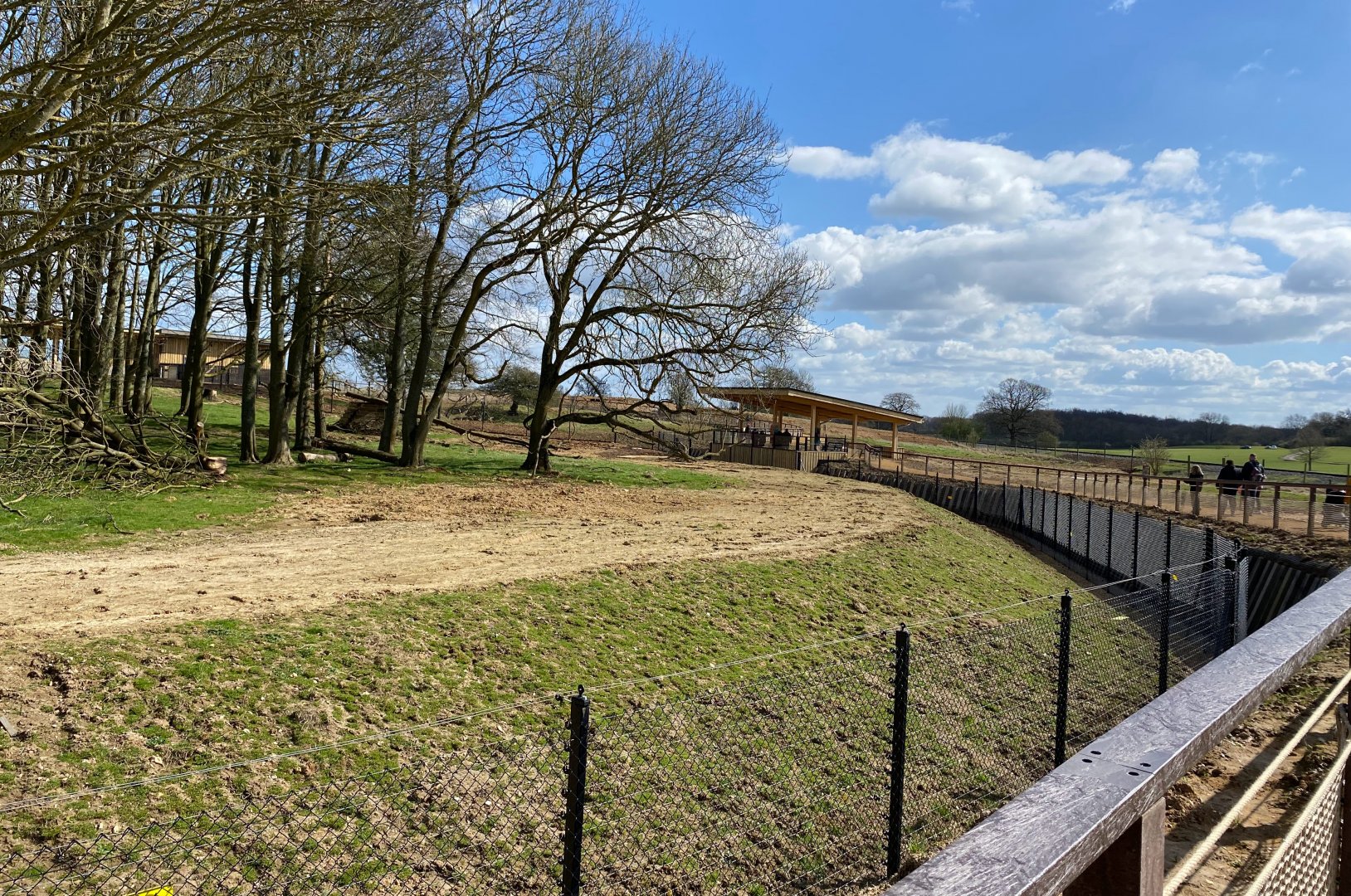 Monkey forest, right hand side enclosure, ZSL Whipsnade