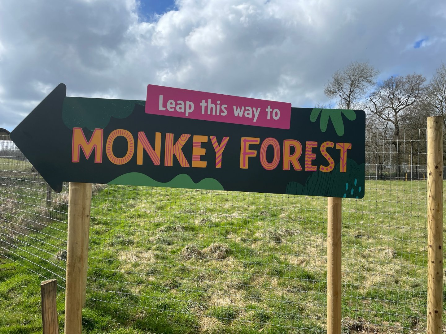 Monkey Forest Signage