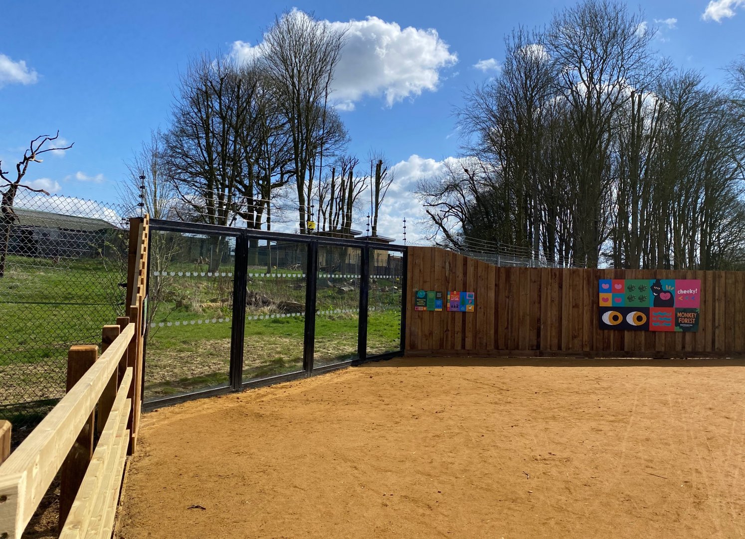 Monkey forest, viewing windows, ZSL Whipsnade
