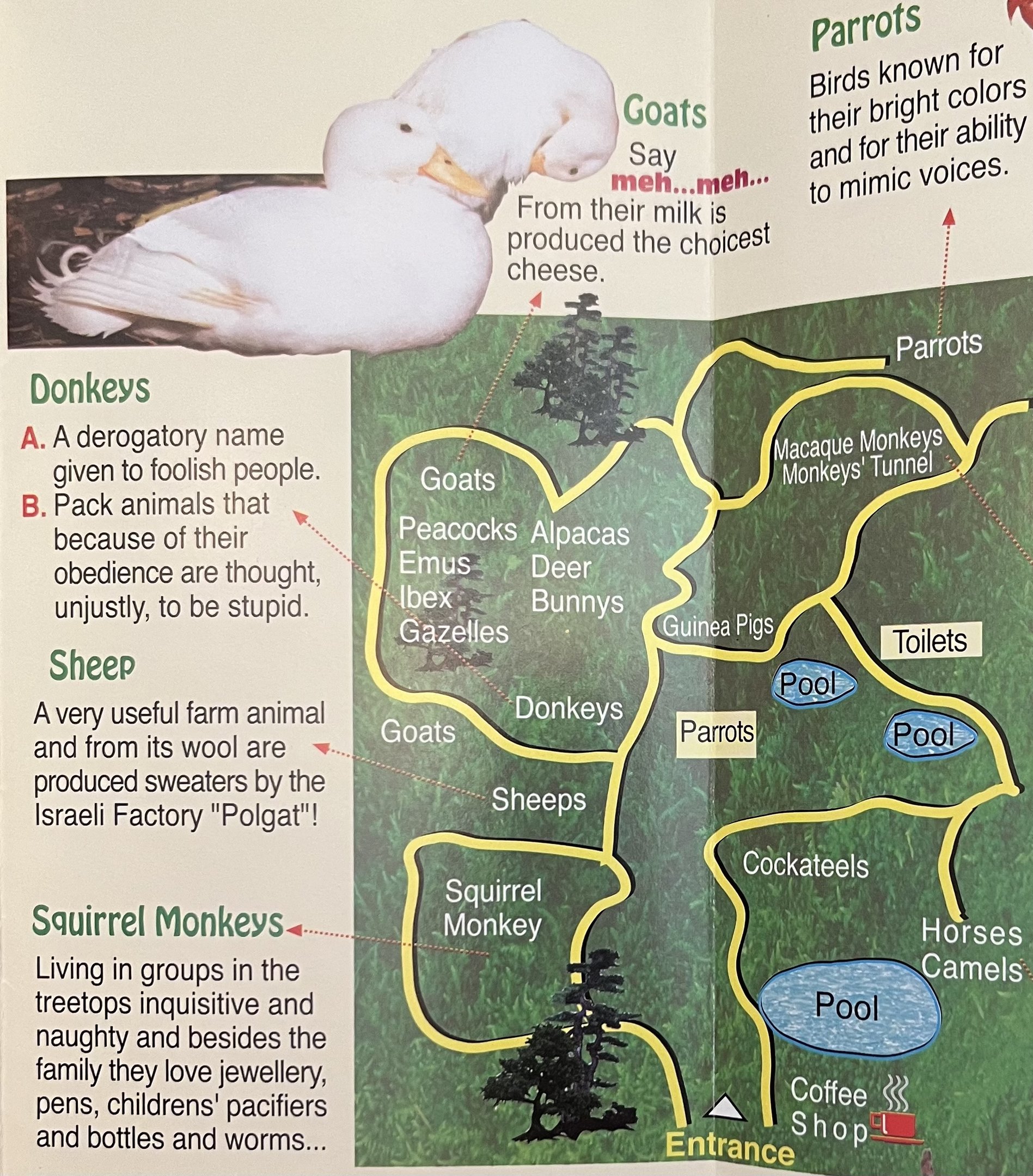 Monkey Forest & Wildlife Park Yodfat Map - undated