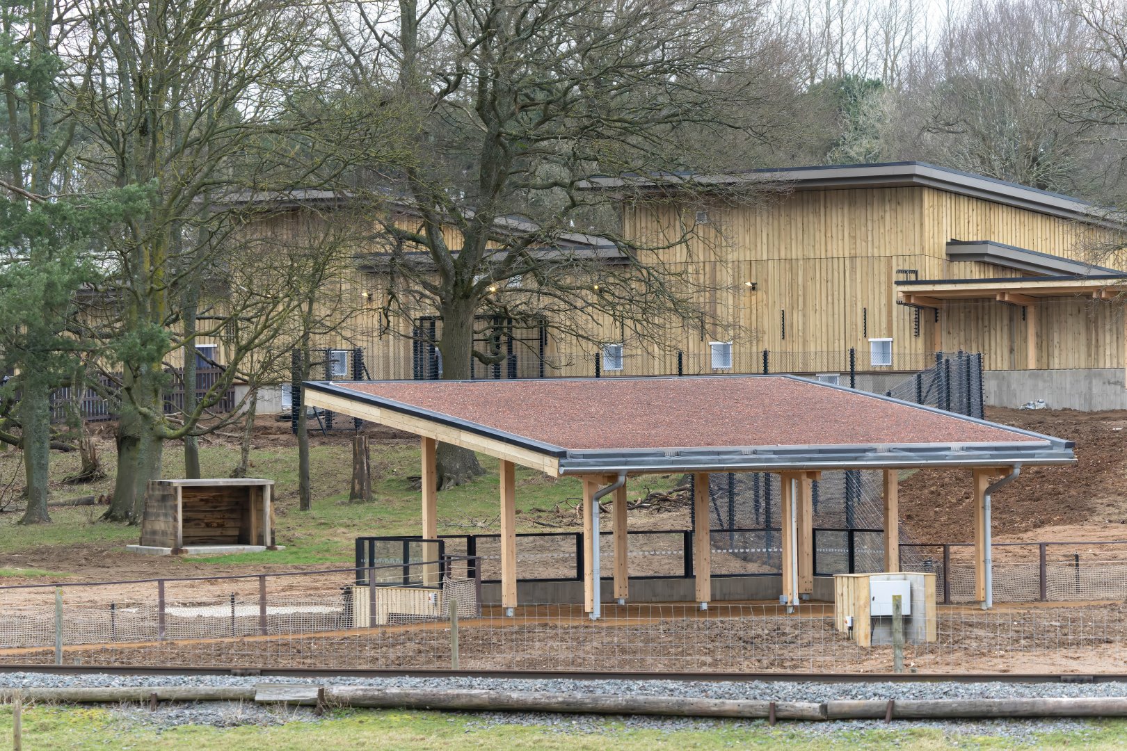 Monkey forest, WIP, ZSL Whipsnade, UK