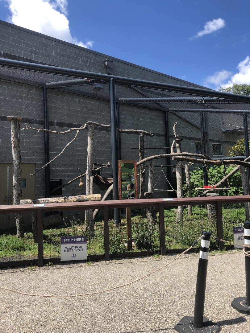Monkey Habitat - July, 2020