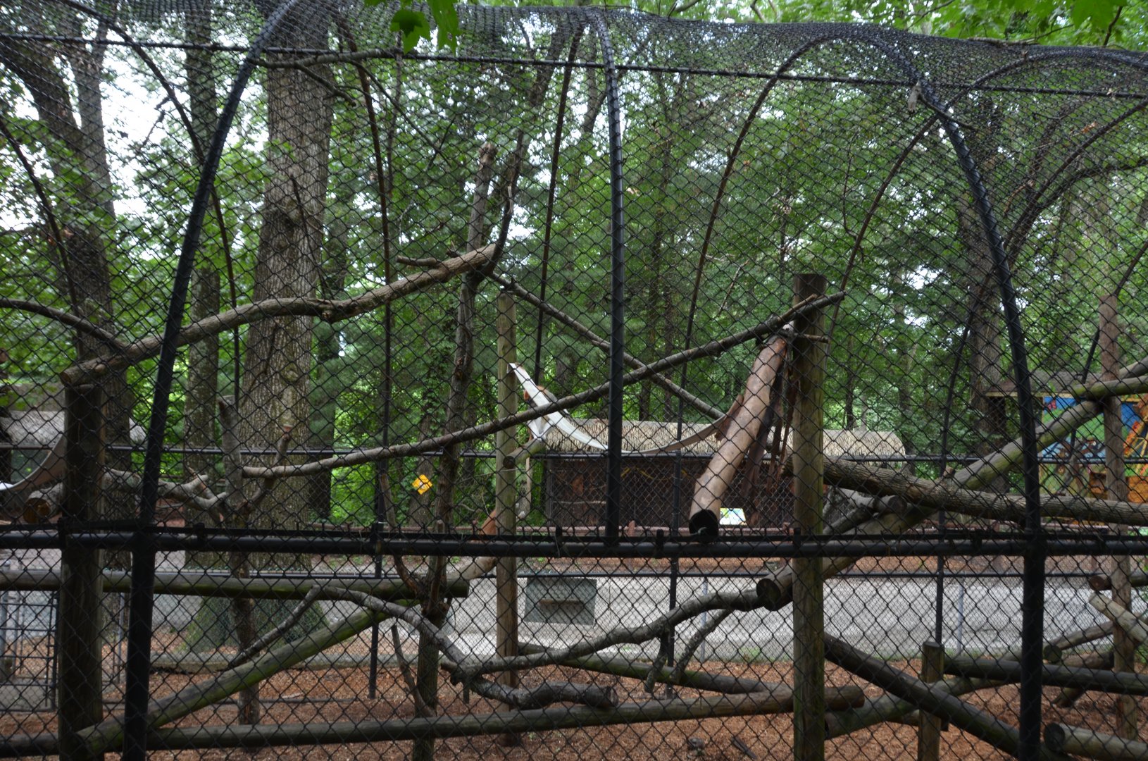 Monkey habitat