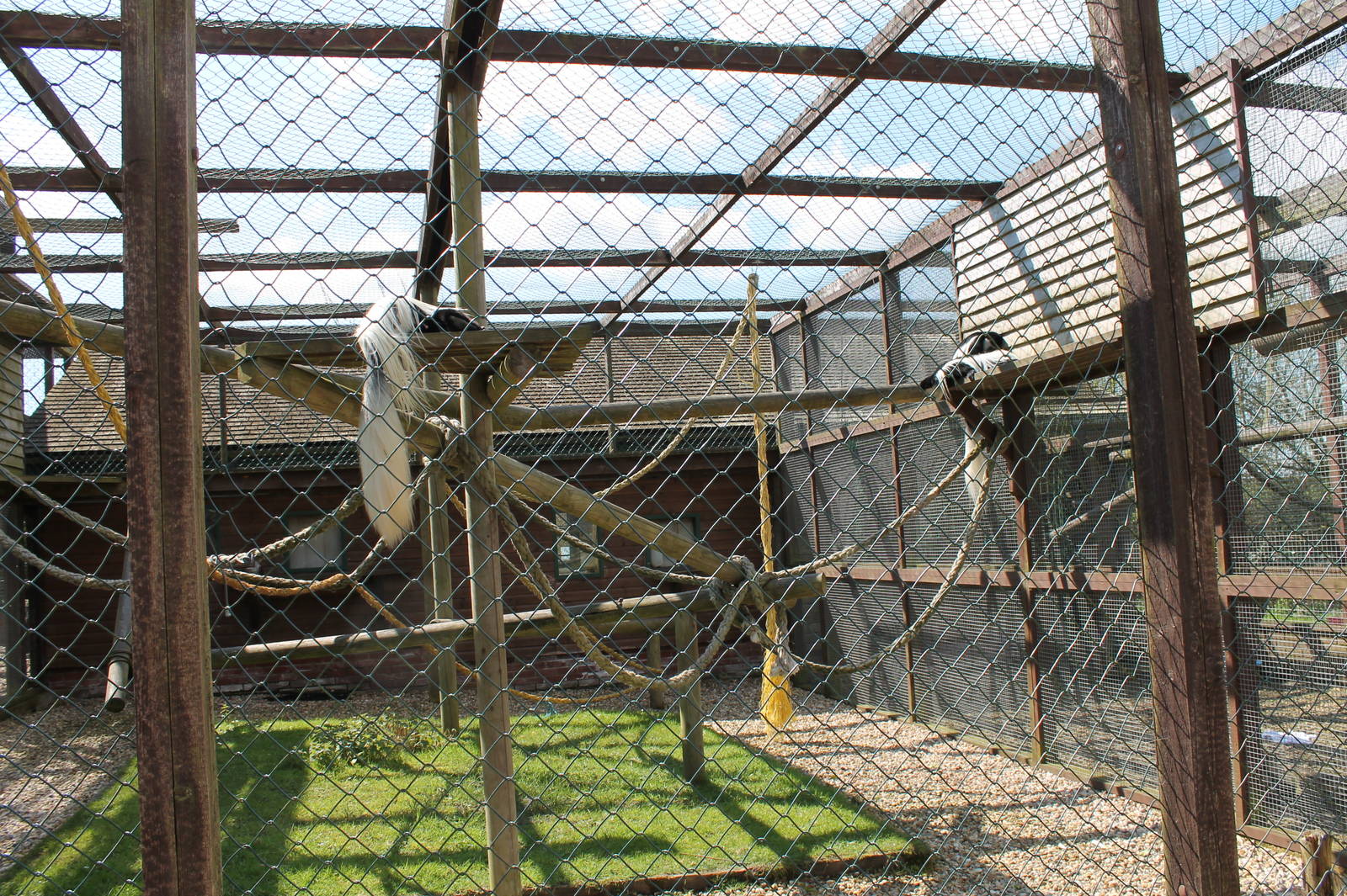 Monkey Haven - Colobus Enclosure