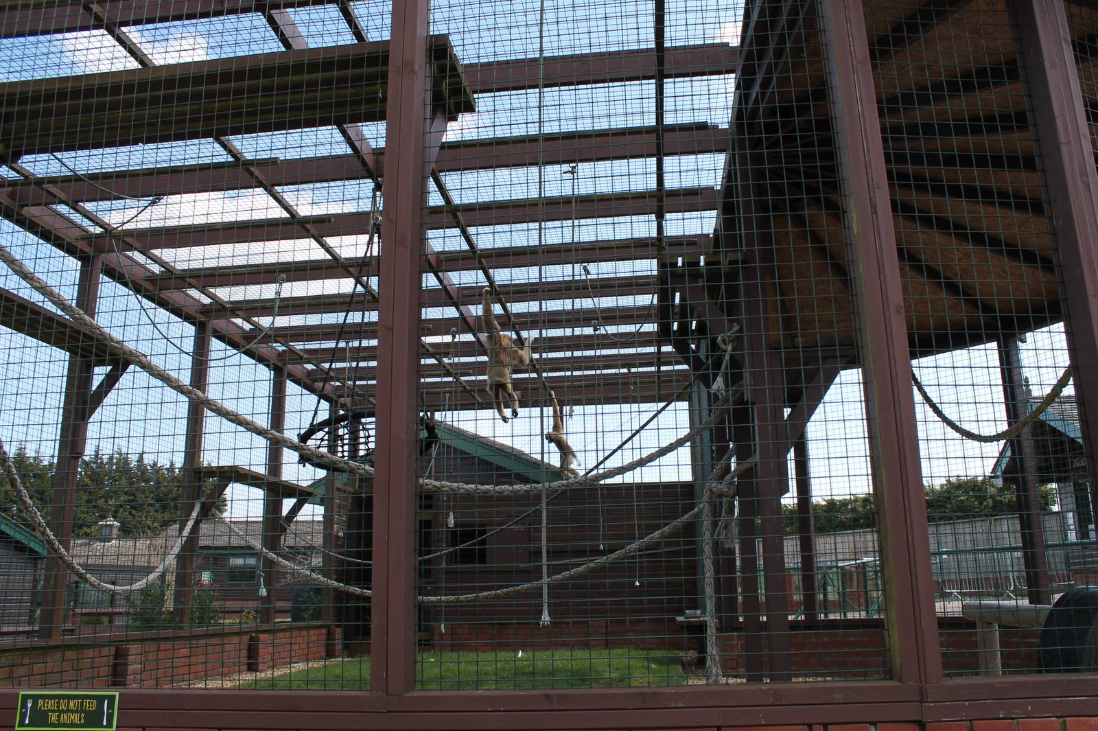 Monkey Haven - Lar Gibbon Enclosure