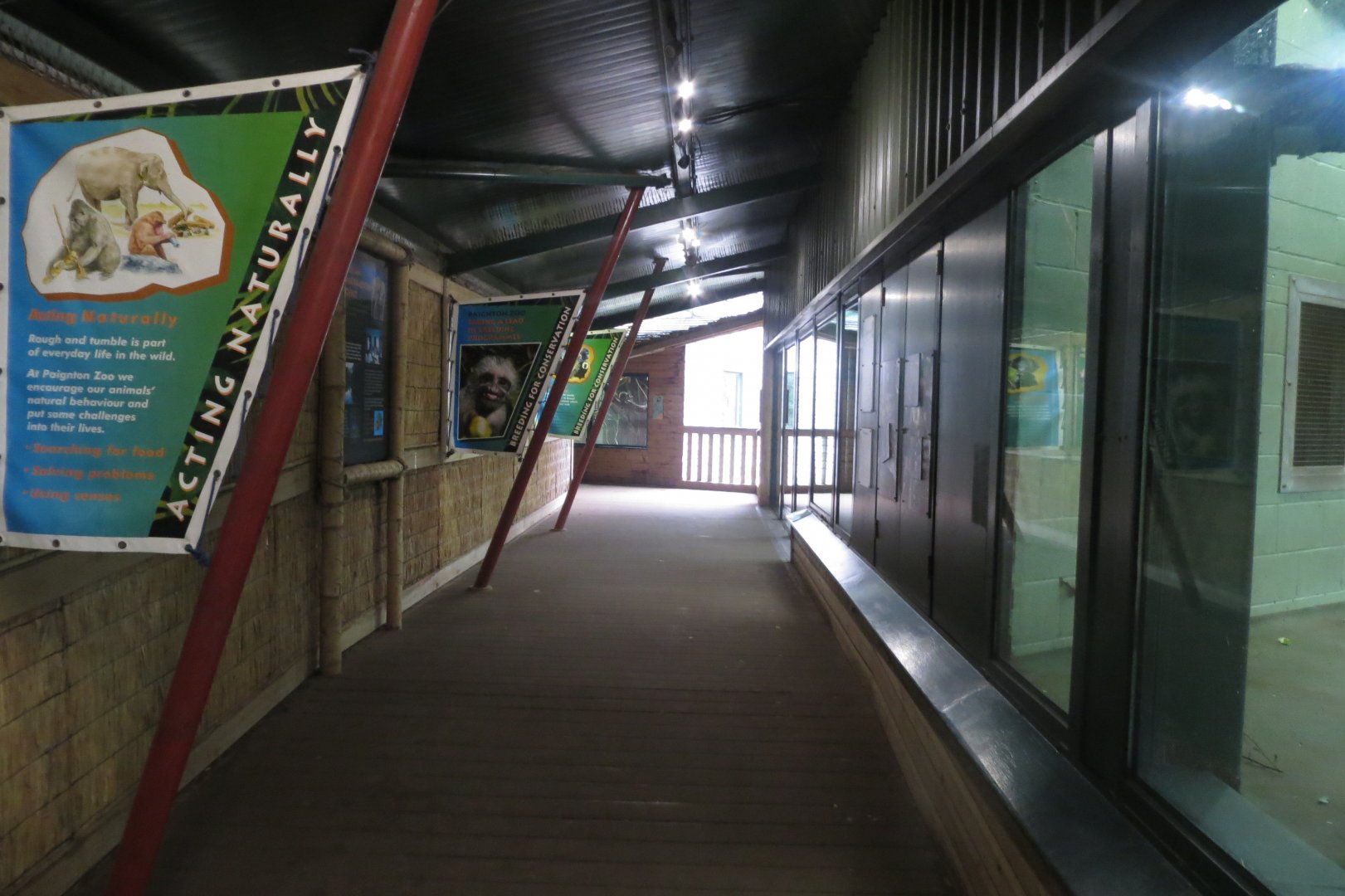 Monkey Heights 050119