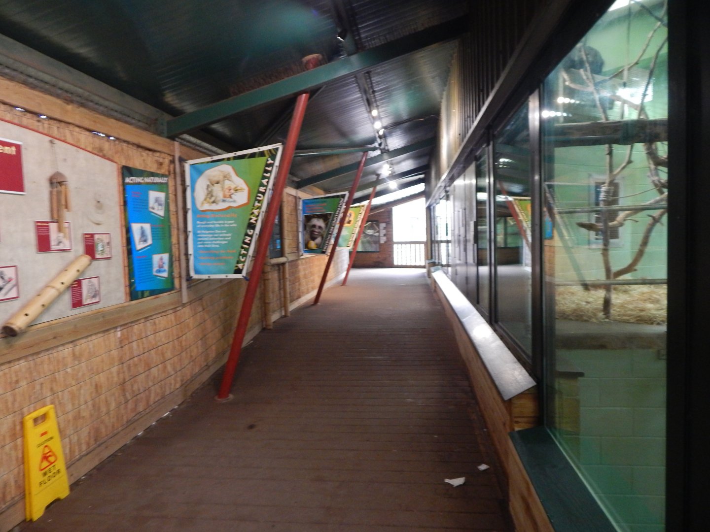 Monkey Heights 050224