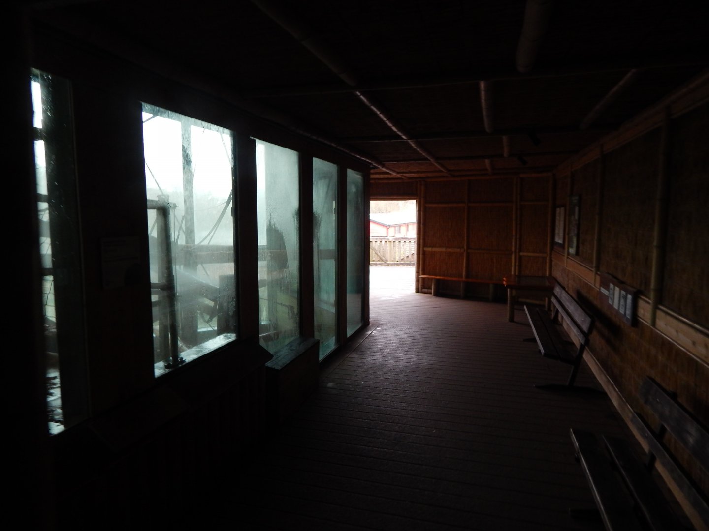 Monkey Heights 050224