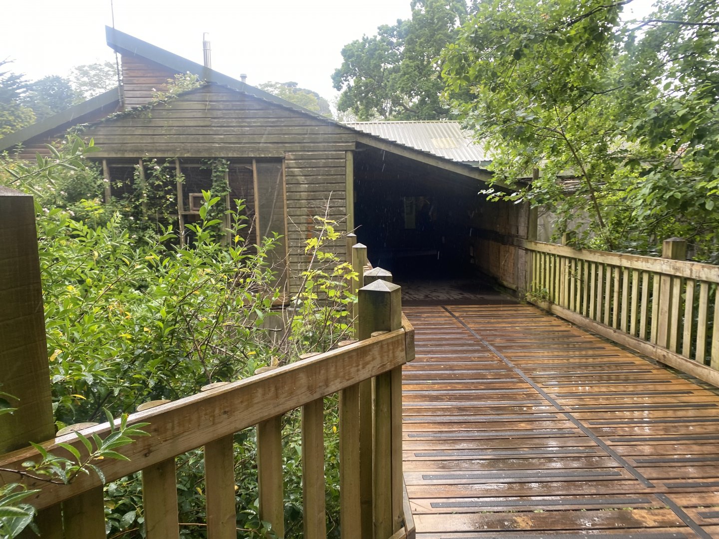 Monkey Heights 130624