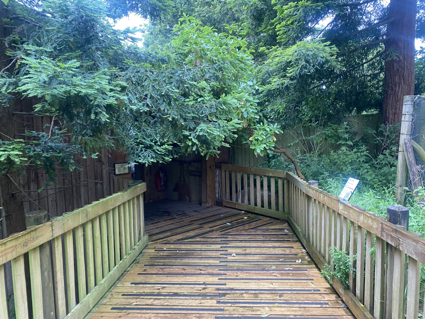 Monkey Heights 130624