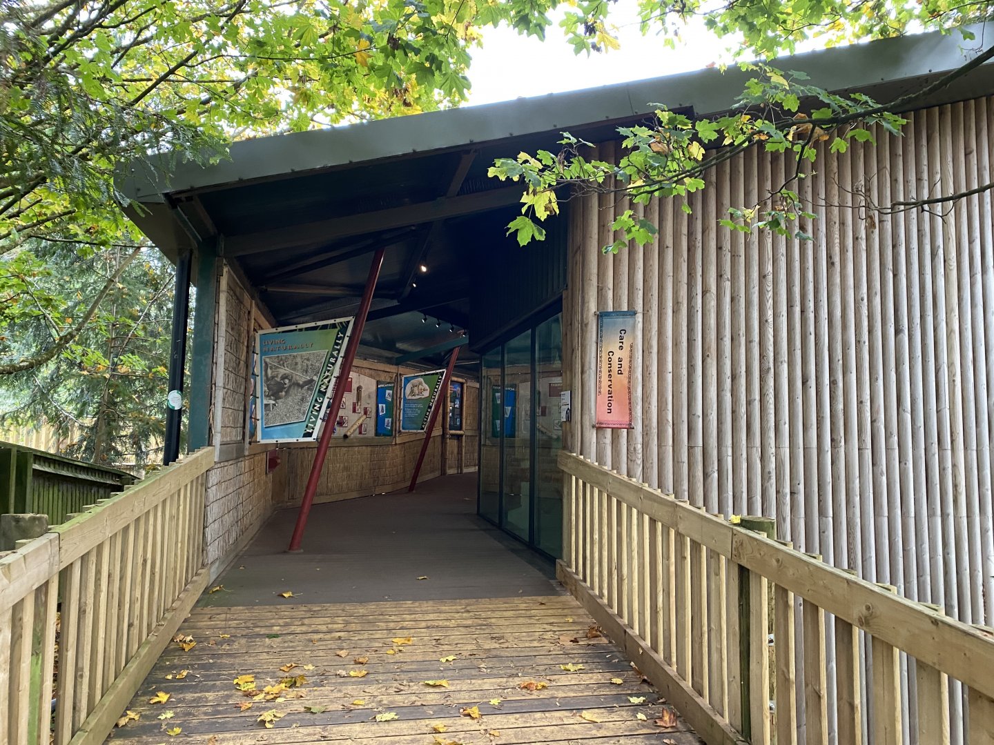 Monkey Heights 201121