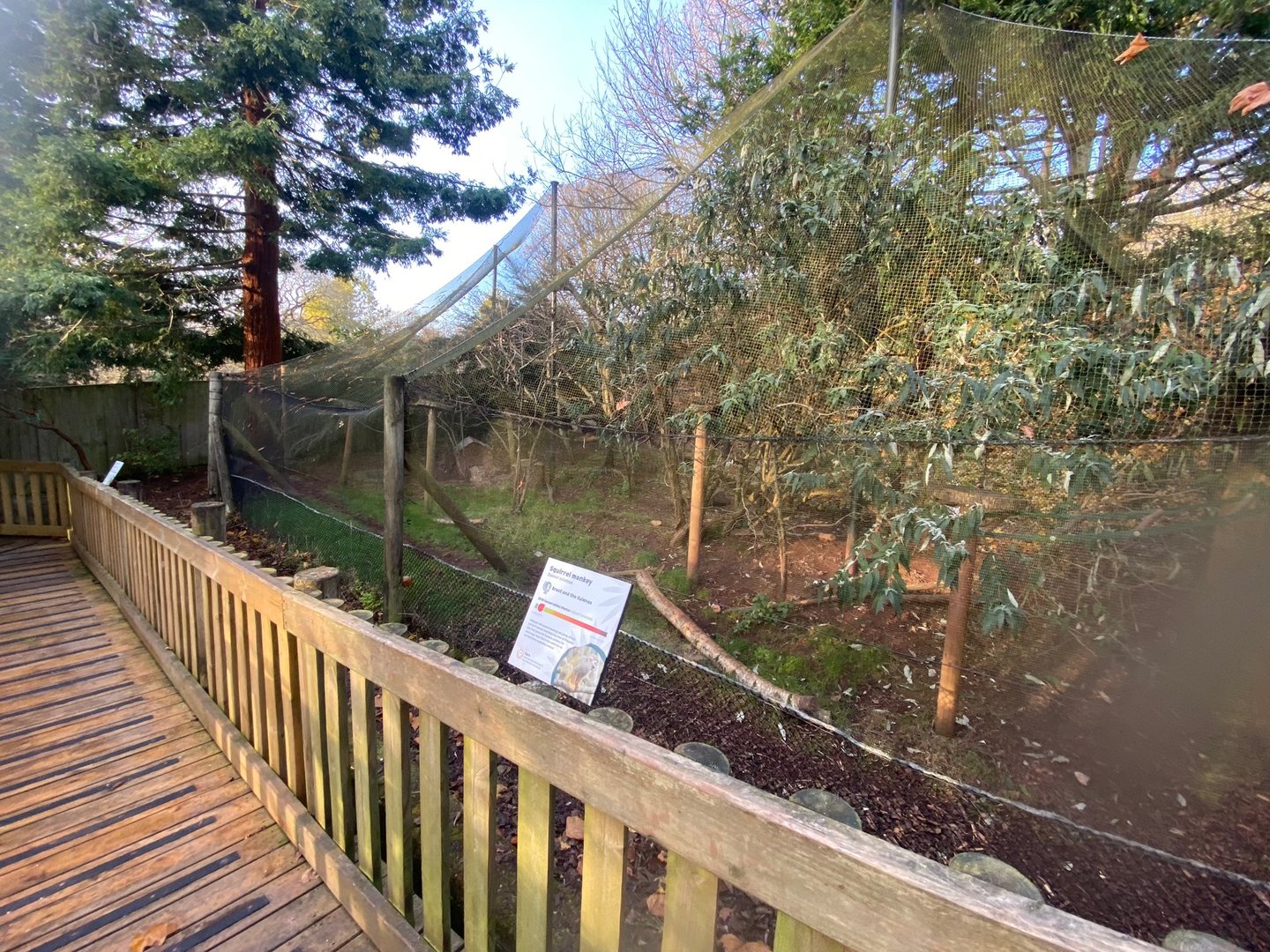 Monkey Heights- Azara’s agouti and Common squirrel monkey enclosure 161222