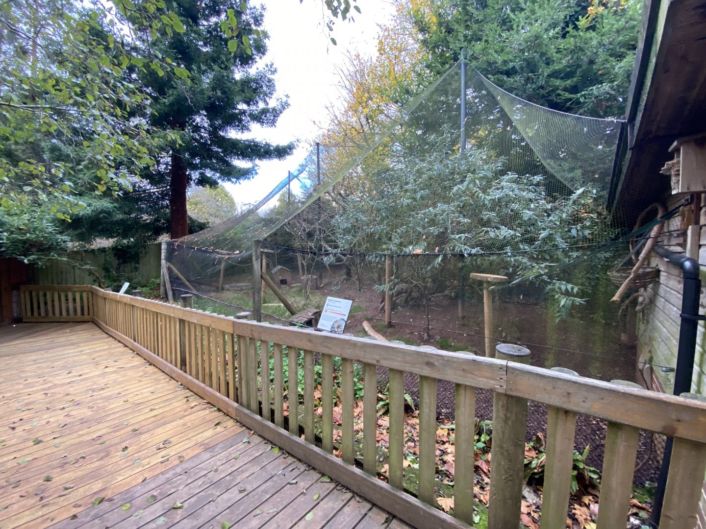 Monkey Heights - Azara's agouti and Common squirrel monkey exhibit 201121