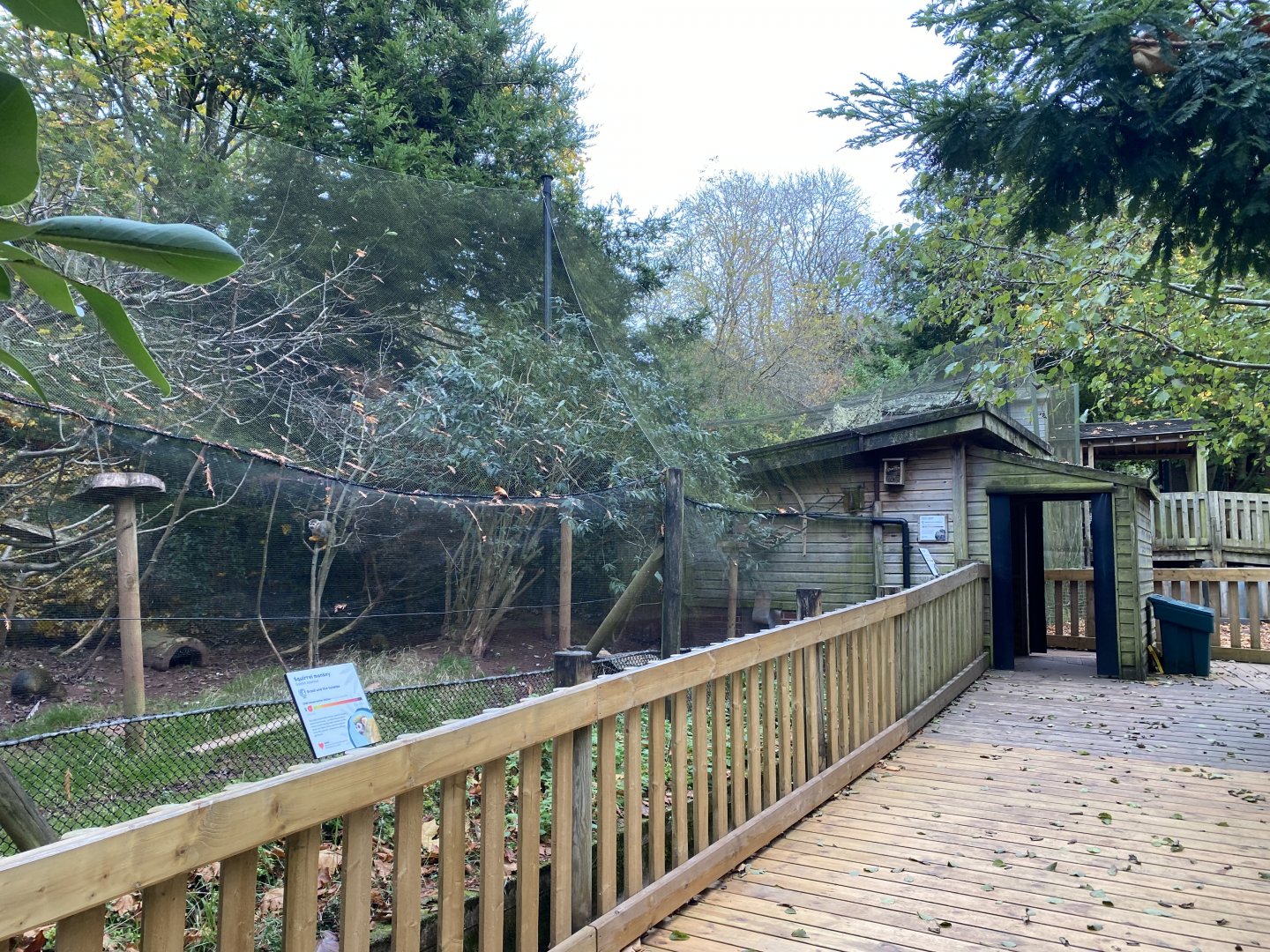 Monkey Heights - Azara's agouti and Common squirrel monkey exhibit 201121
