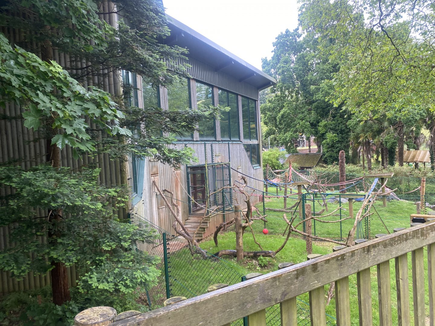 Monkey Heights - Cherry-crowned mangabey and King colobus exhibits 130624