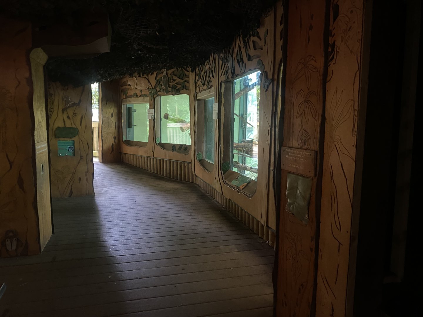 Monkey Heights - Diana monkey exhibit 130624