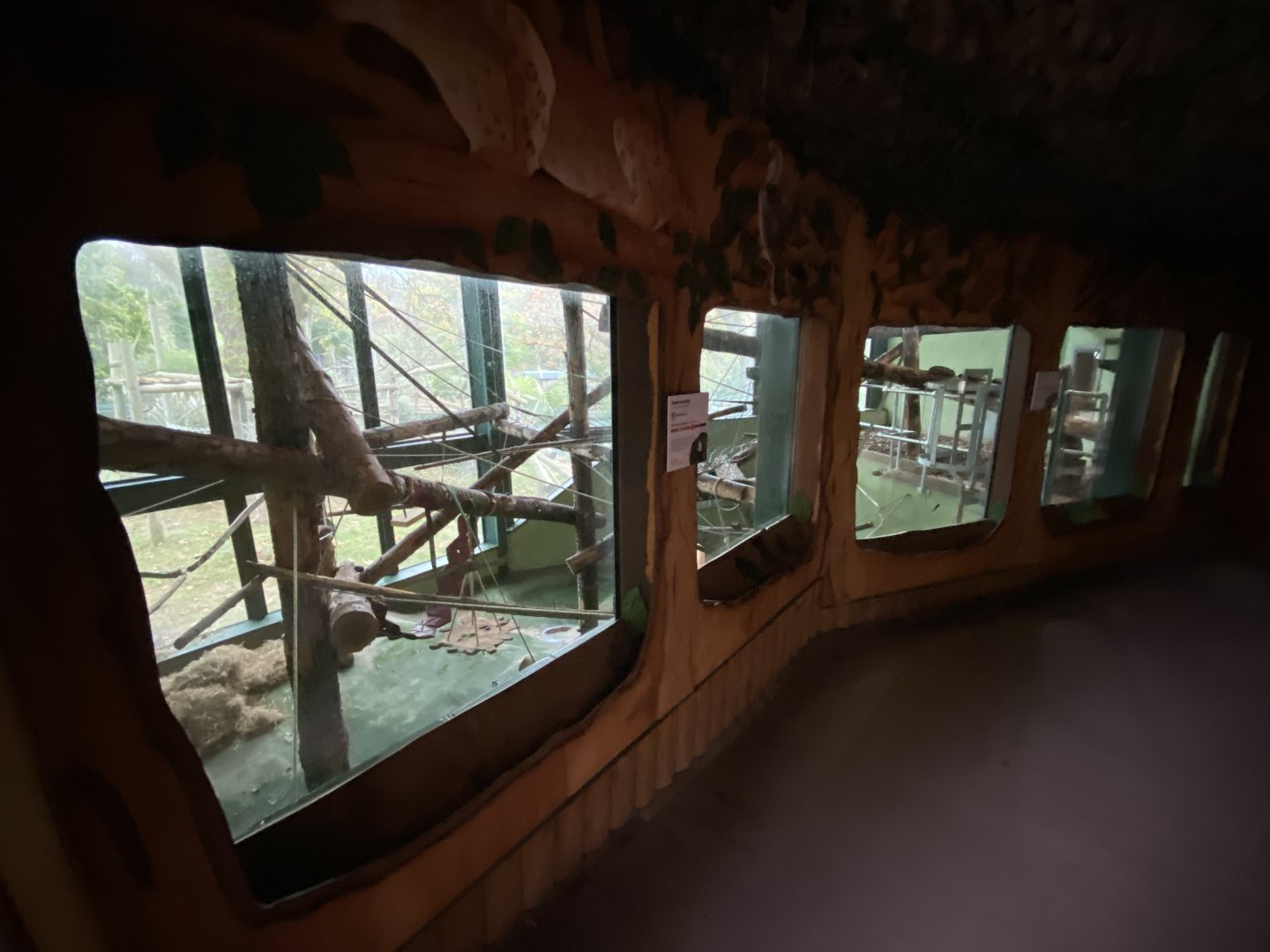 Monkey Heights - Diana monkey exhibit 201121